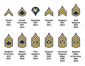 Army Enlisted Rank Insignia Stock Vector - Illustration of command ...