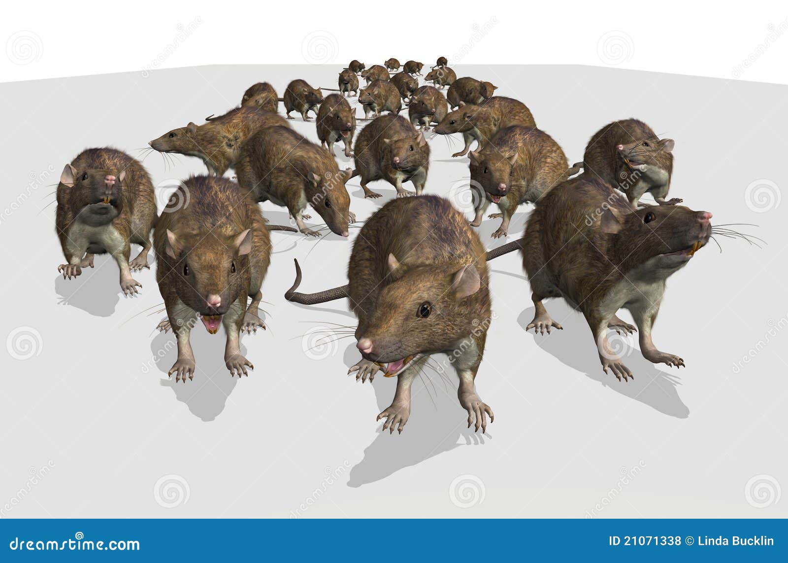 Army of Rats stock illustration. Illustration of infested - 21071338