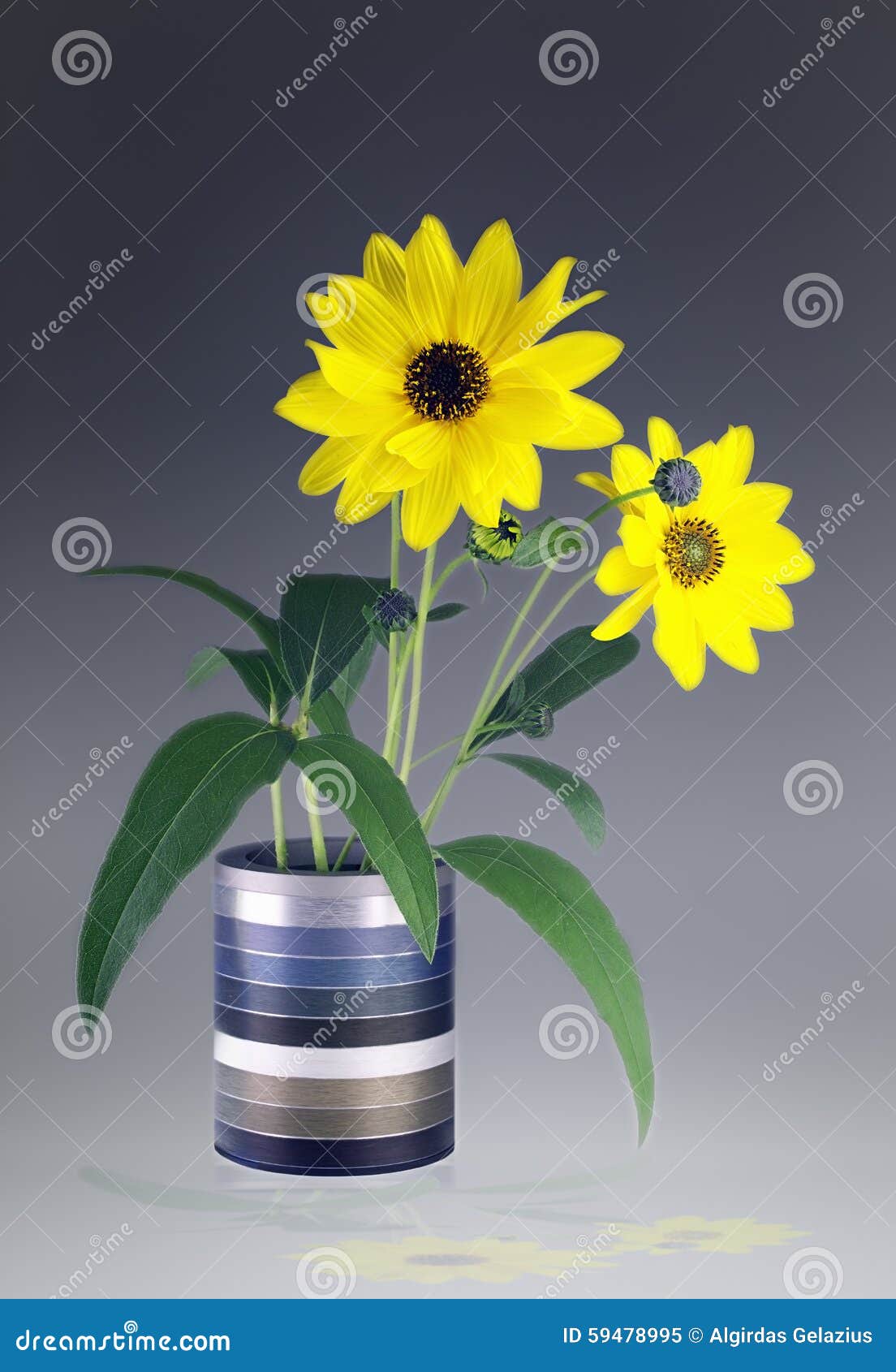 arnica blossoms in a vase