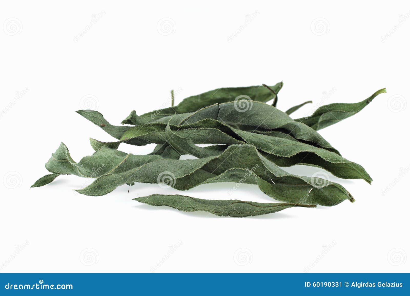 arnica herb dried leaves