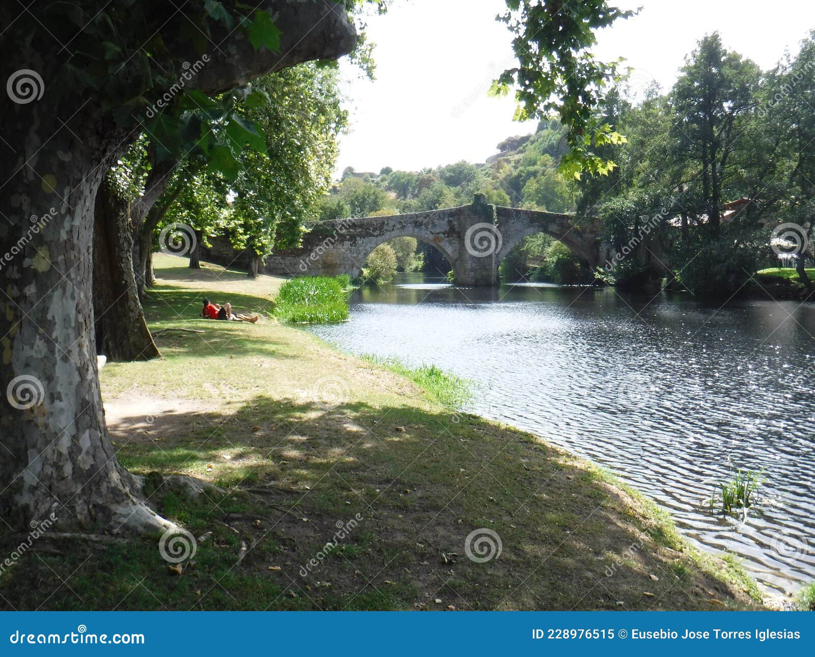 arnoia river and roman bridge by the forest in allariz