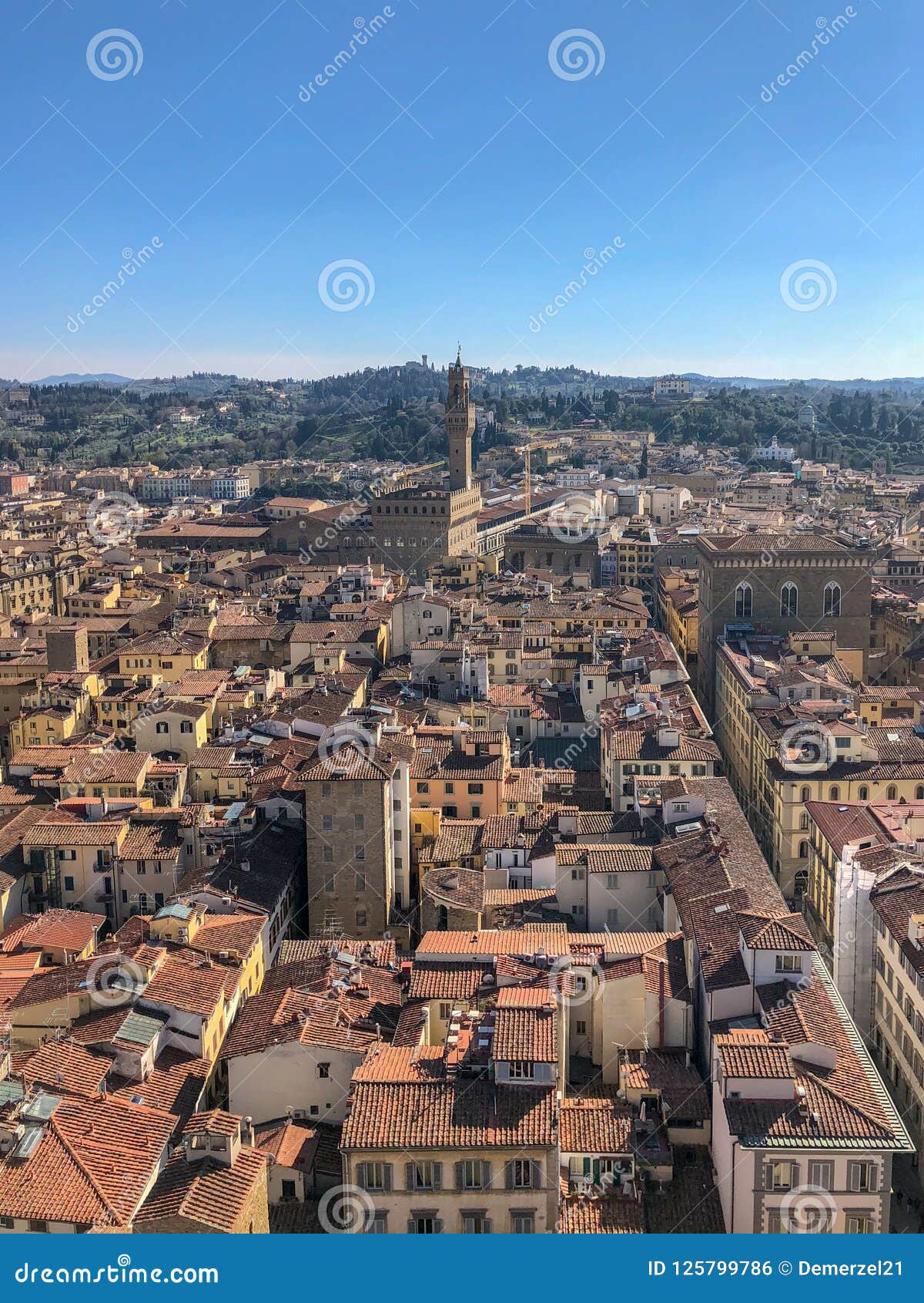 arnolfo tower - florence, italy