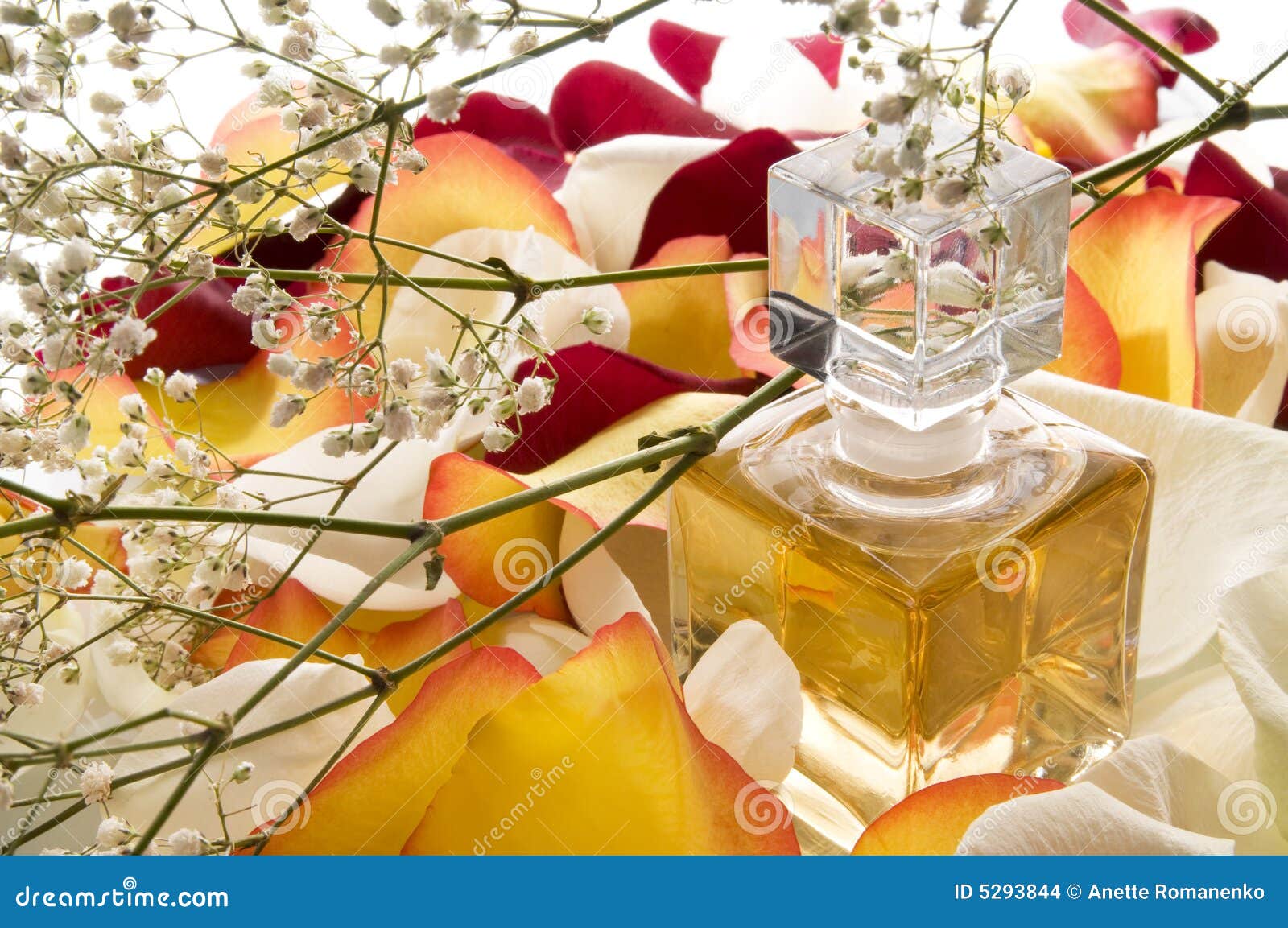 Aroma. stock photo. Image of garden, aromatherapy, holiday 5293844