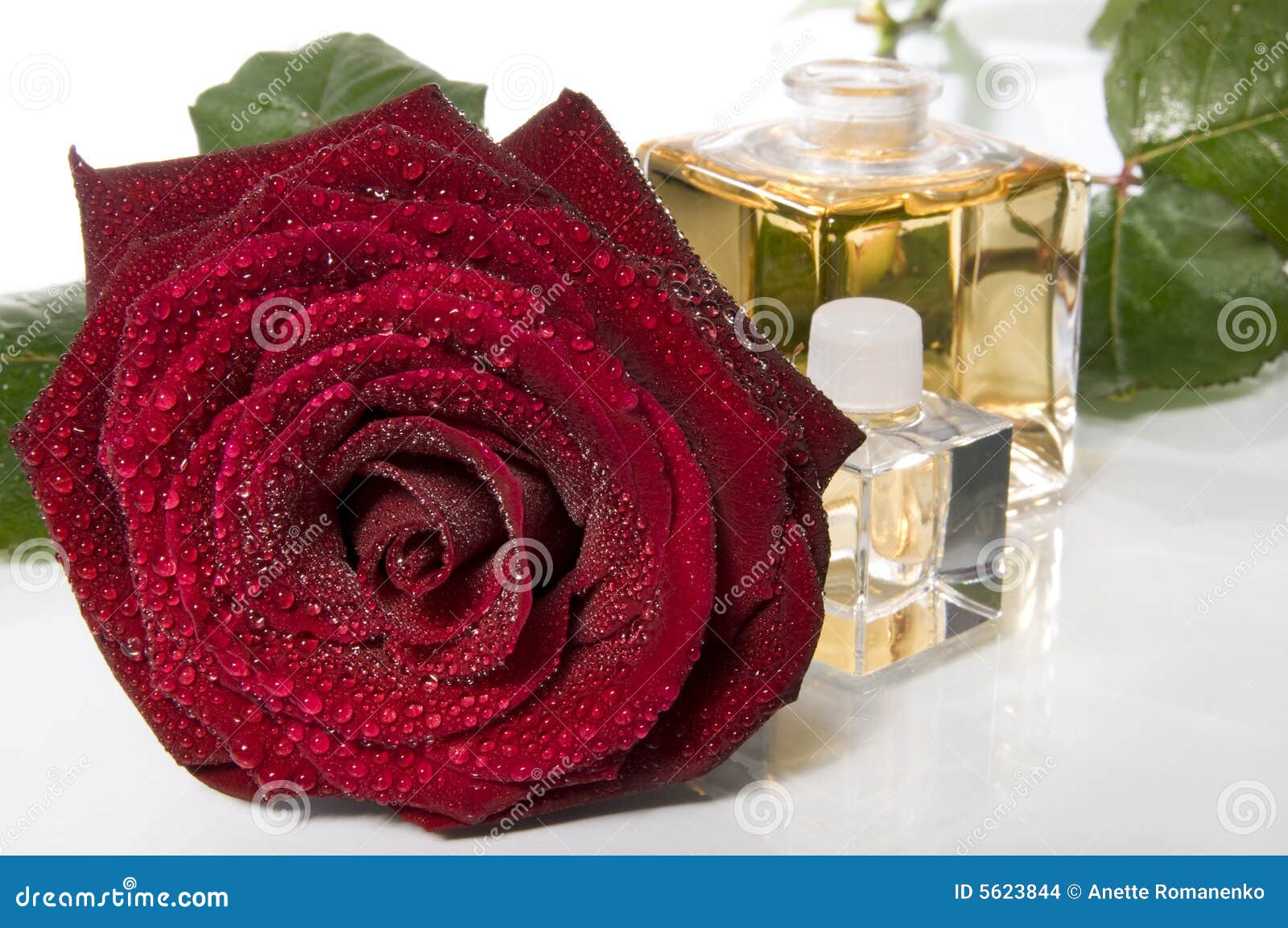 Aroma. Picture Image 5623844