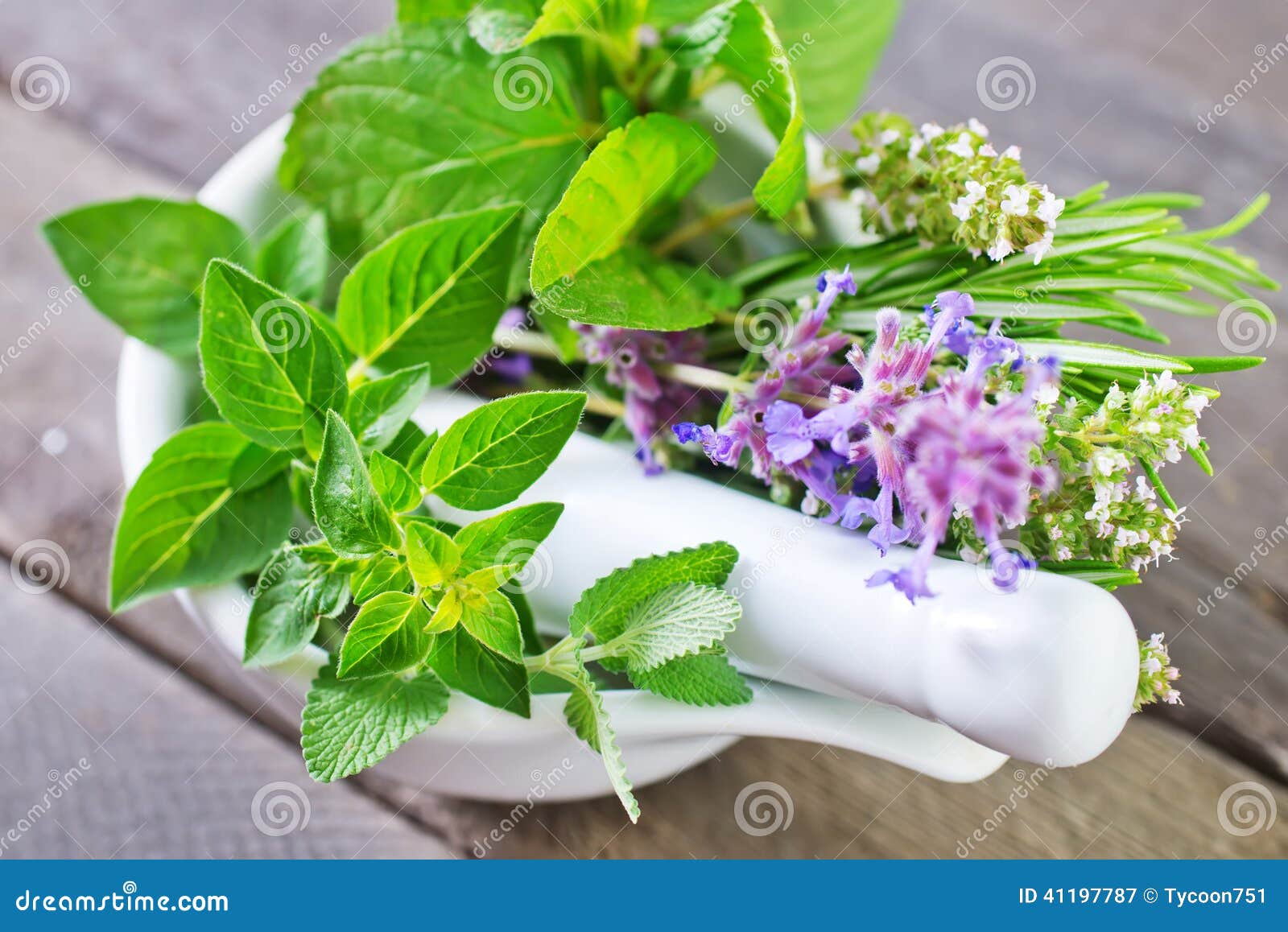 Aroma herb stock image. Image of botanical, mint, medicine 41197787