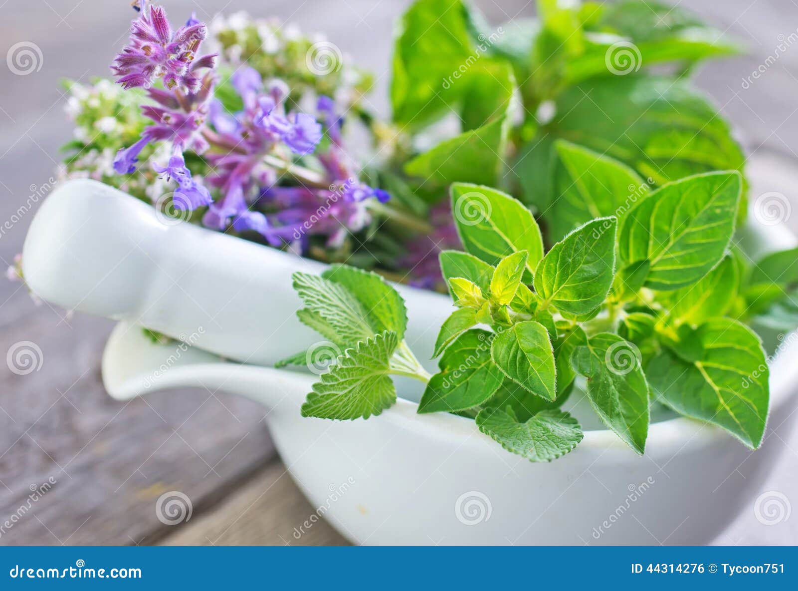 Aroma herb stock photo. Image of culinary, alternative 44314276