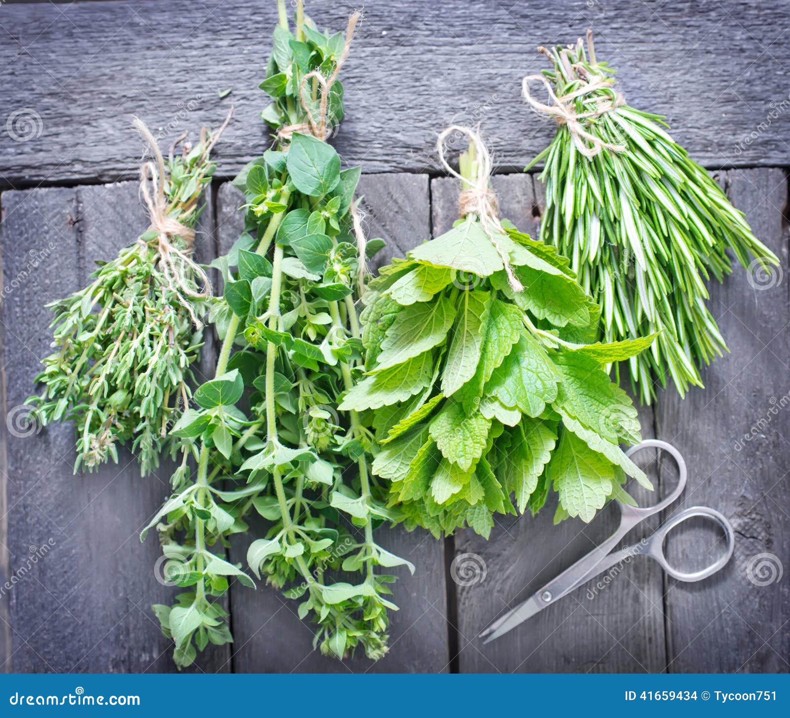 Aroma herbs stock photo. Image of clothespin, herbal 41659434