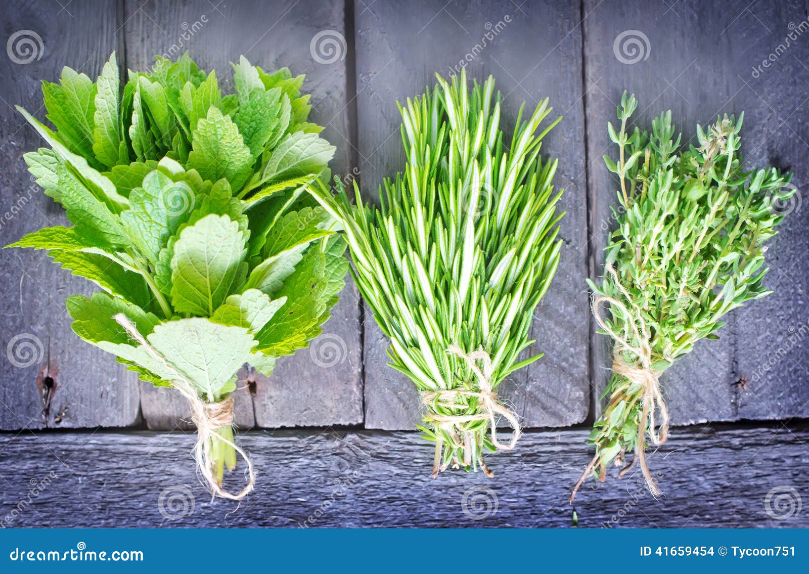 Aroma herbs stock photo. Image of garden, mentha, rope 41659454