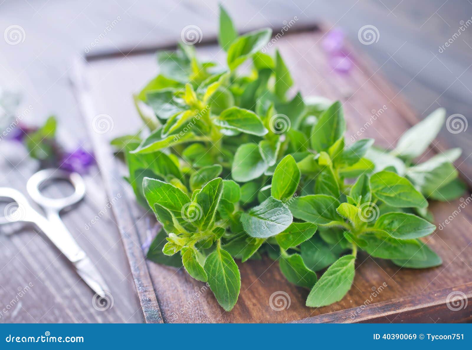 Aroma herbs stock image. Image of closeup, blossom, aroma 40390069