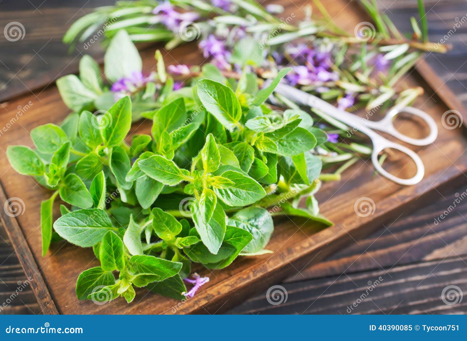Aroma herbs stock image. Image of botanical, bloom, herbs 40390085