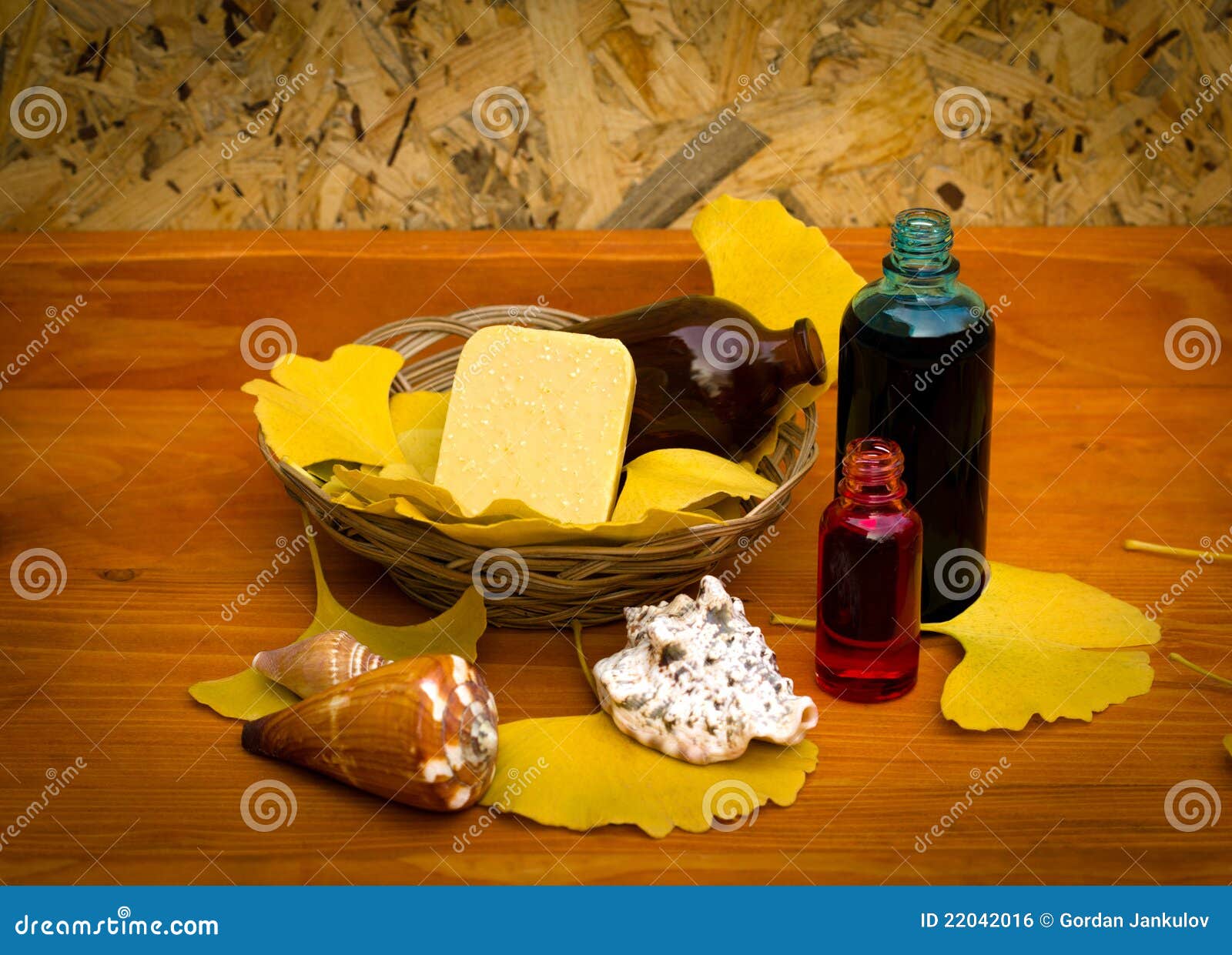 Aromatherapy stock photo. Image of biloba, element, drug 22042016