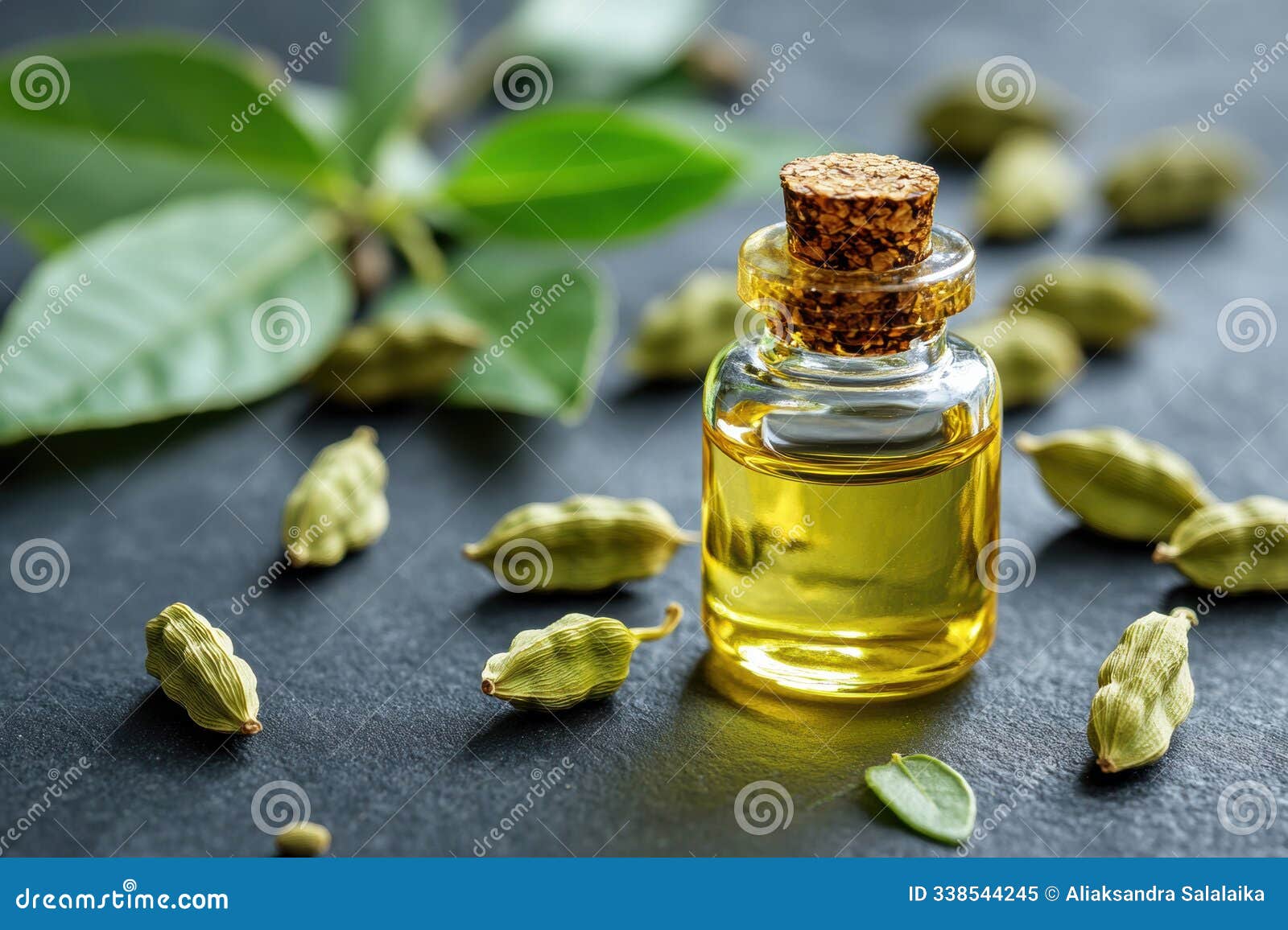 aromatherapy banner featuring cardamom oil in a small bottle with herb leaves on a dark background, promoting wellness