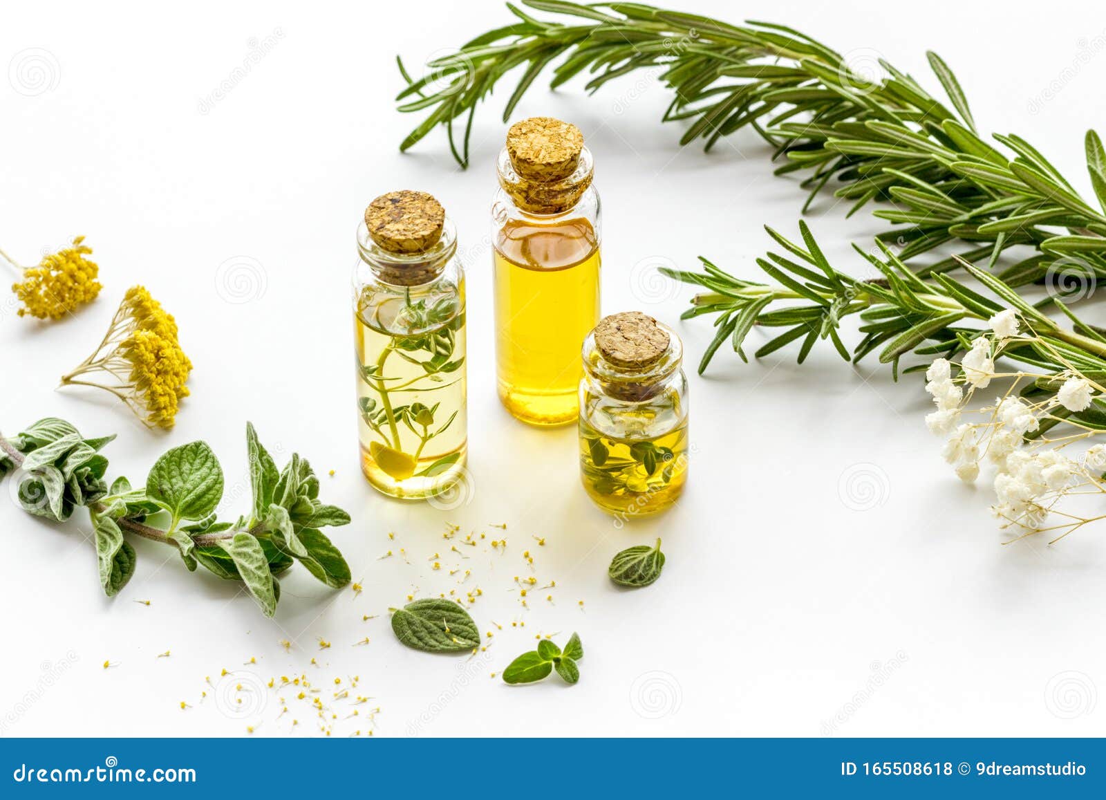 Aromatherapy. Essential Oils in Small Bottles Near Fresh Herbs on White