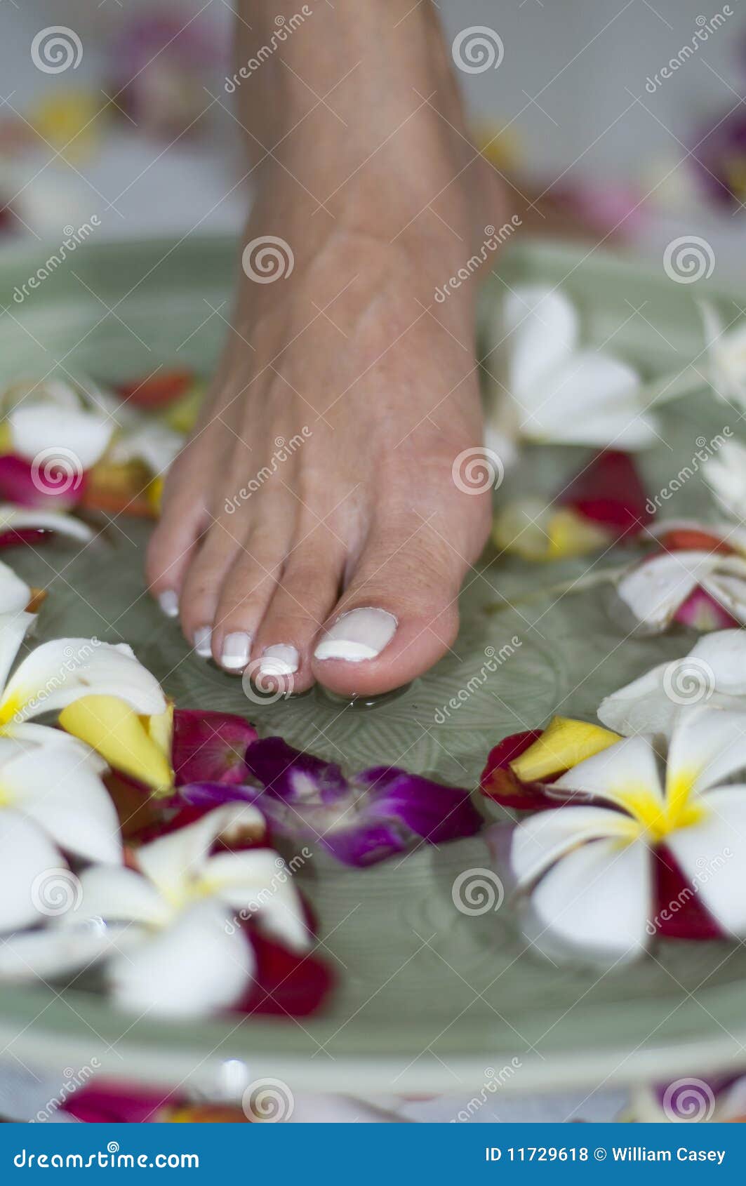 Aromatherapy foot bath stock photo. Image of salon, health 11729618