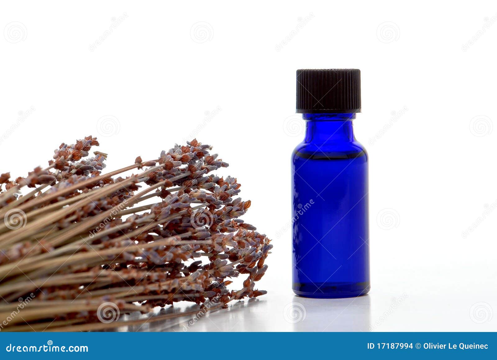 Aromatherapy Lavender Extract Essential Oil Bottle Stock Photo Image