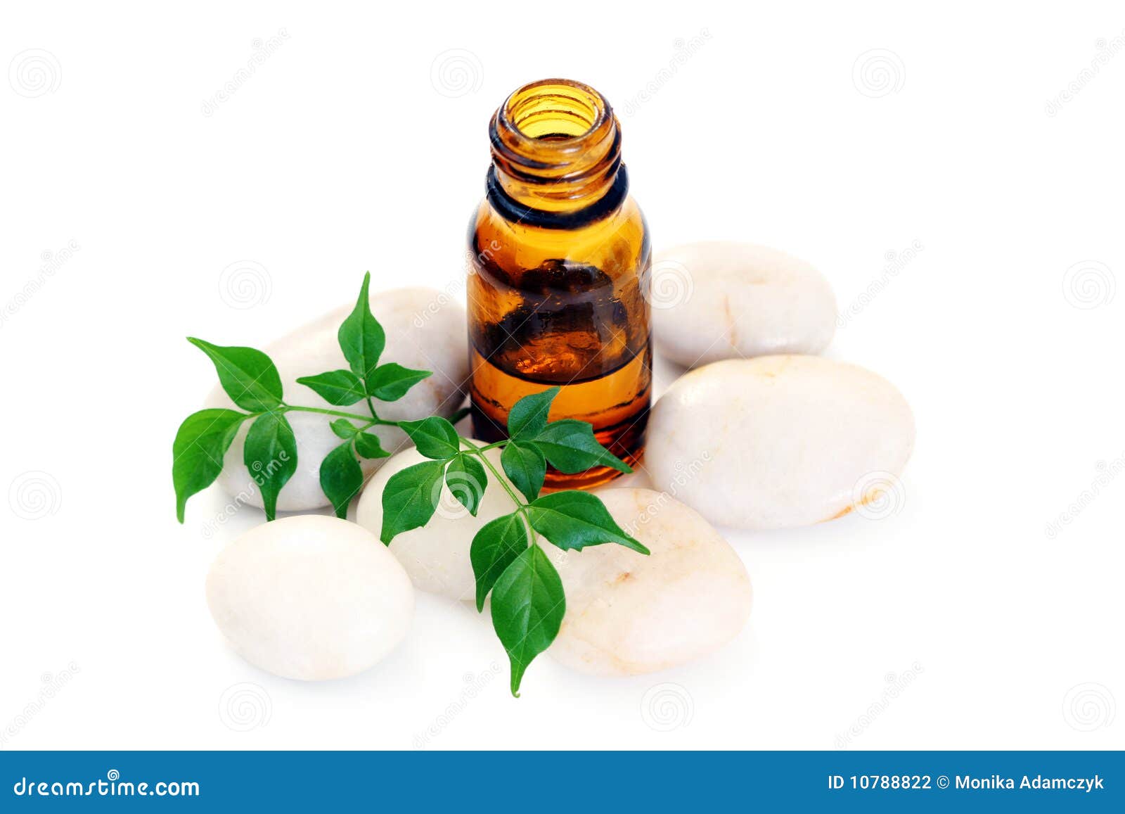 Aromatherapy oil stock photo. Image of relax, items, like 10788822