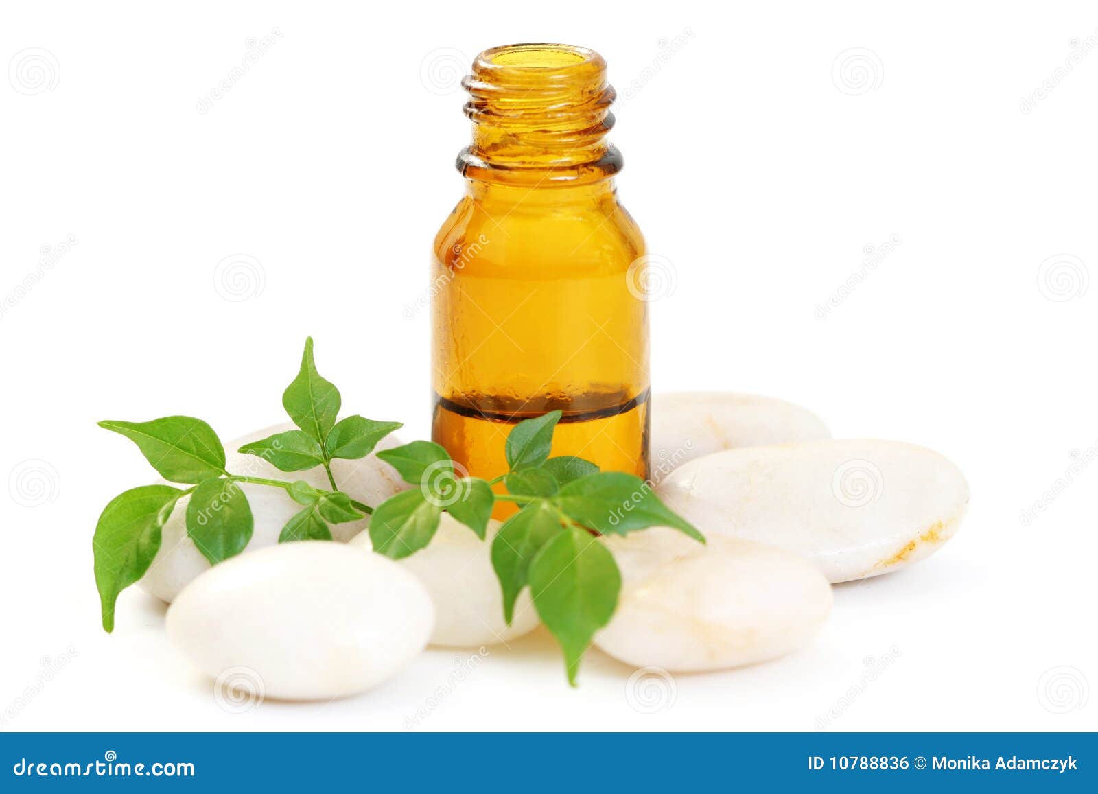 Aromatherapy oil stock photo. Image of cosmetics, pampering 10788836