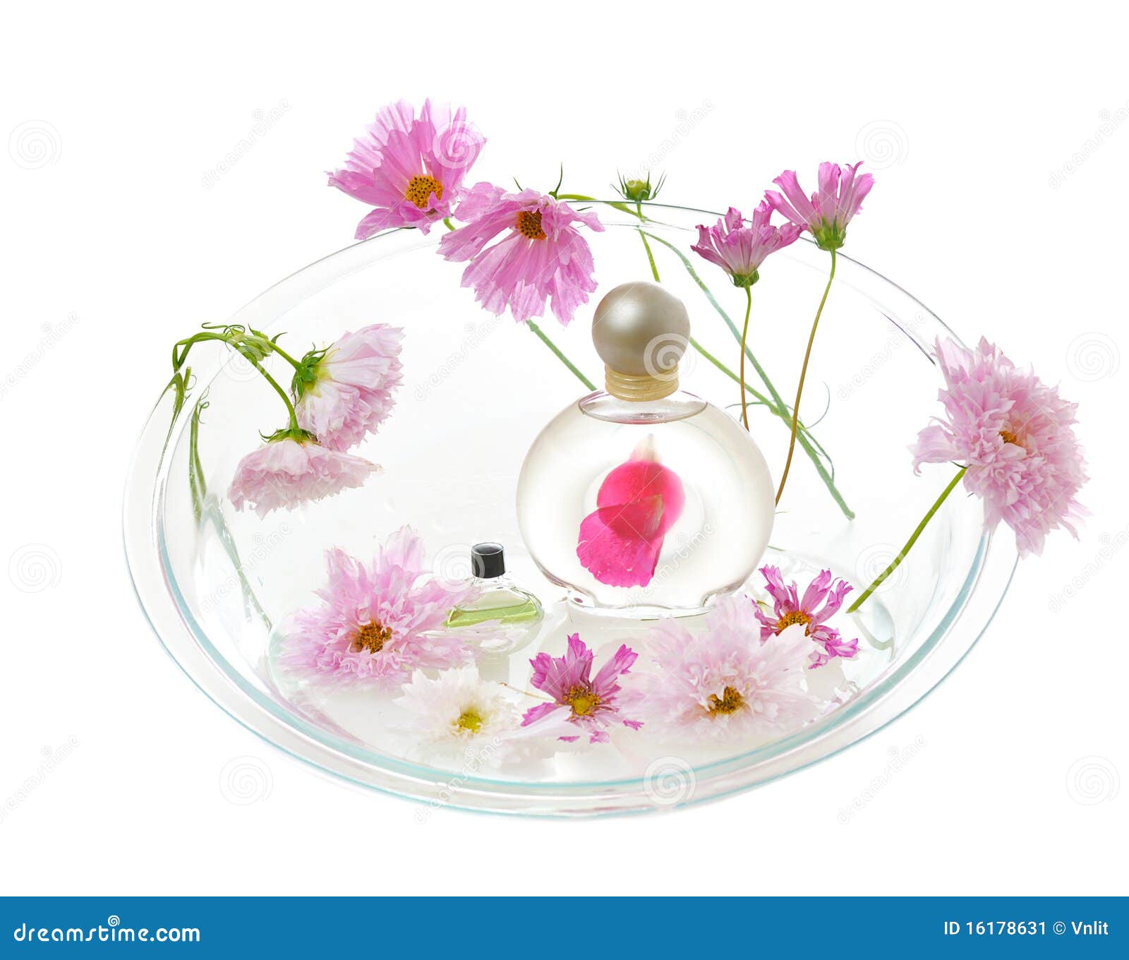 Aromatherapy with Pink Flowers Stock Image Image of beauty, aromatic
