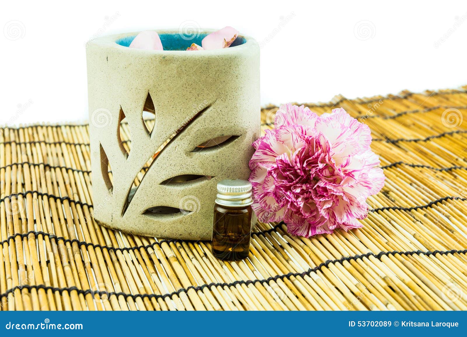 Aromatherapy Spa Concept with Pink Carnation Stock Image Image of