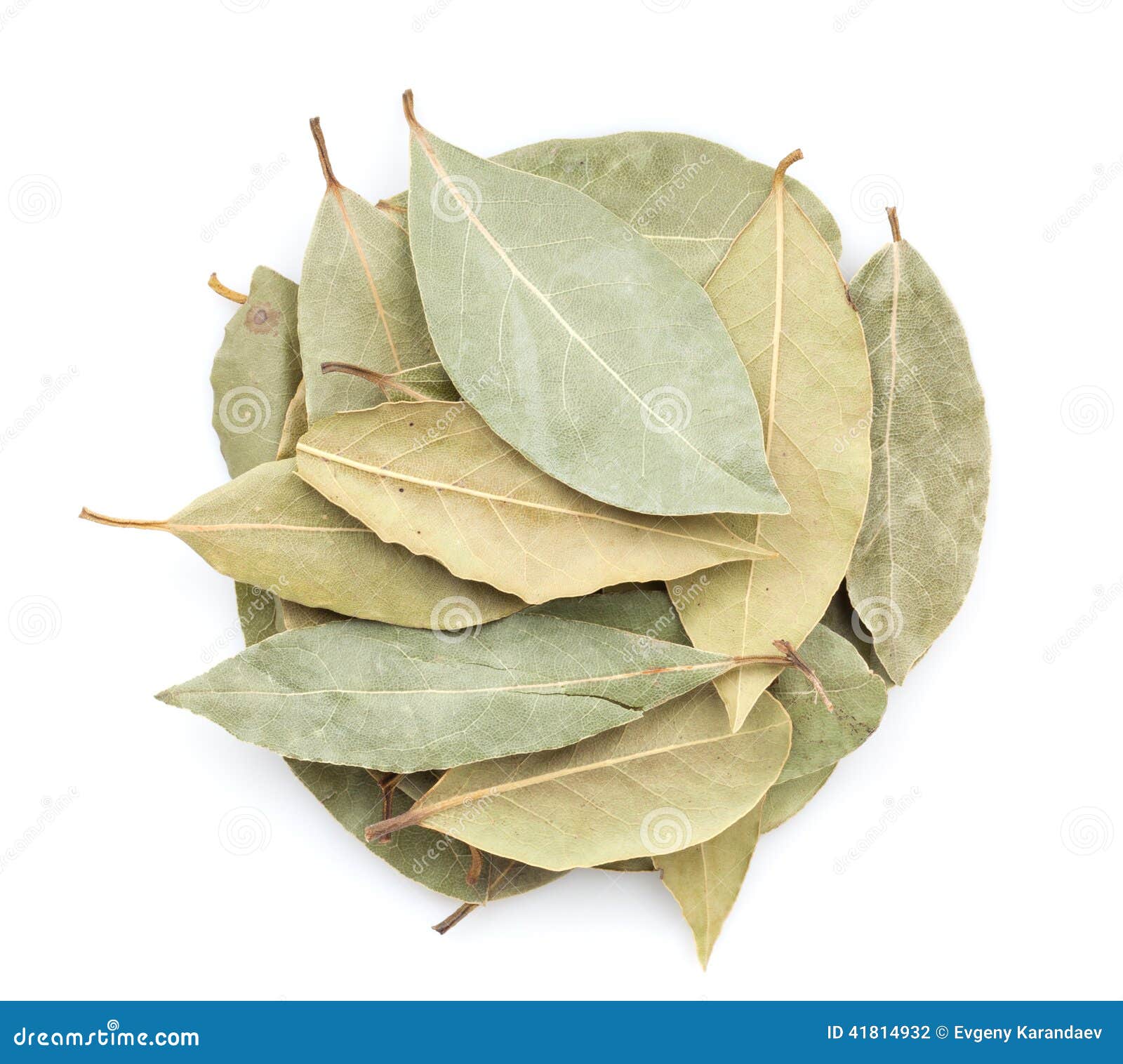 Aromatic bay leaves stock photo. Image of aroma, leaves 41814932