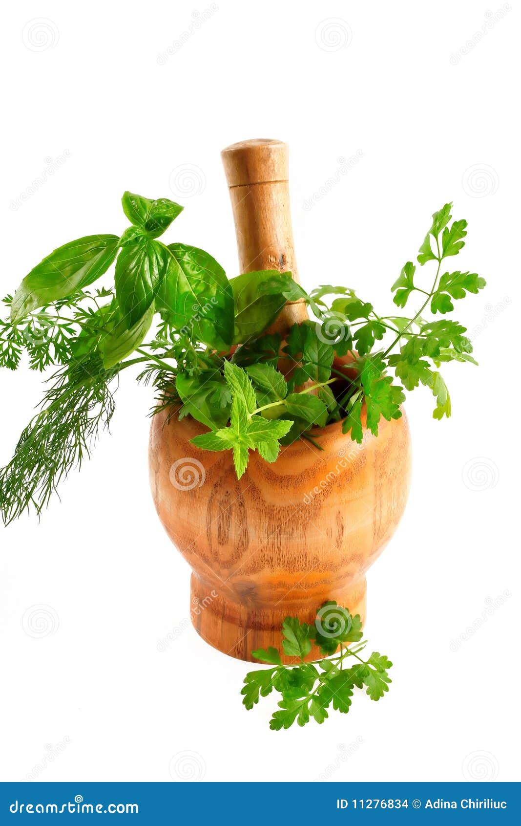 Aromatic Herbs And S