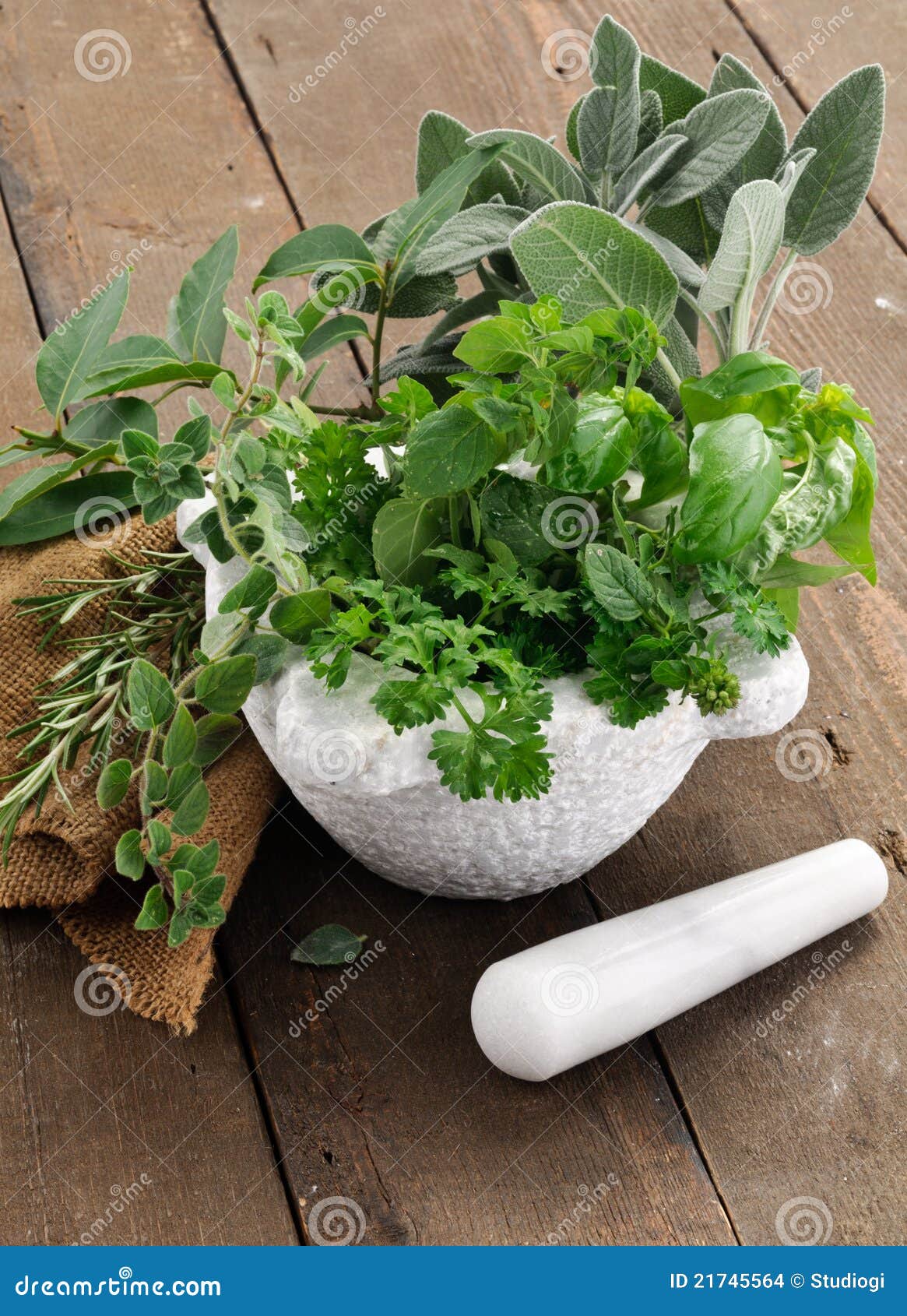 Aromatic herbs stock photo. Image of fragrance, leaves 21745564