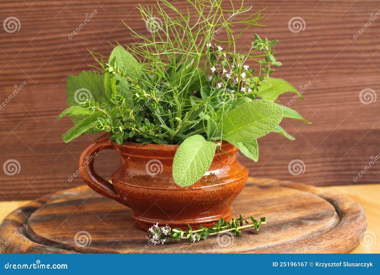 Aromatic herbs stock image. Image of ingredient, lemon 25196167