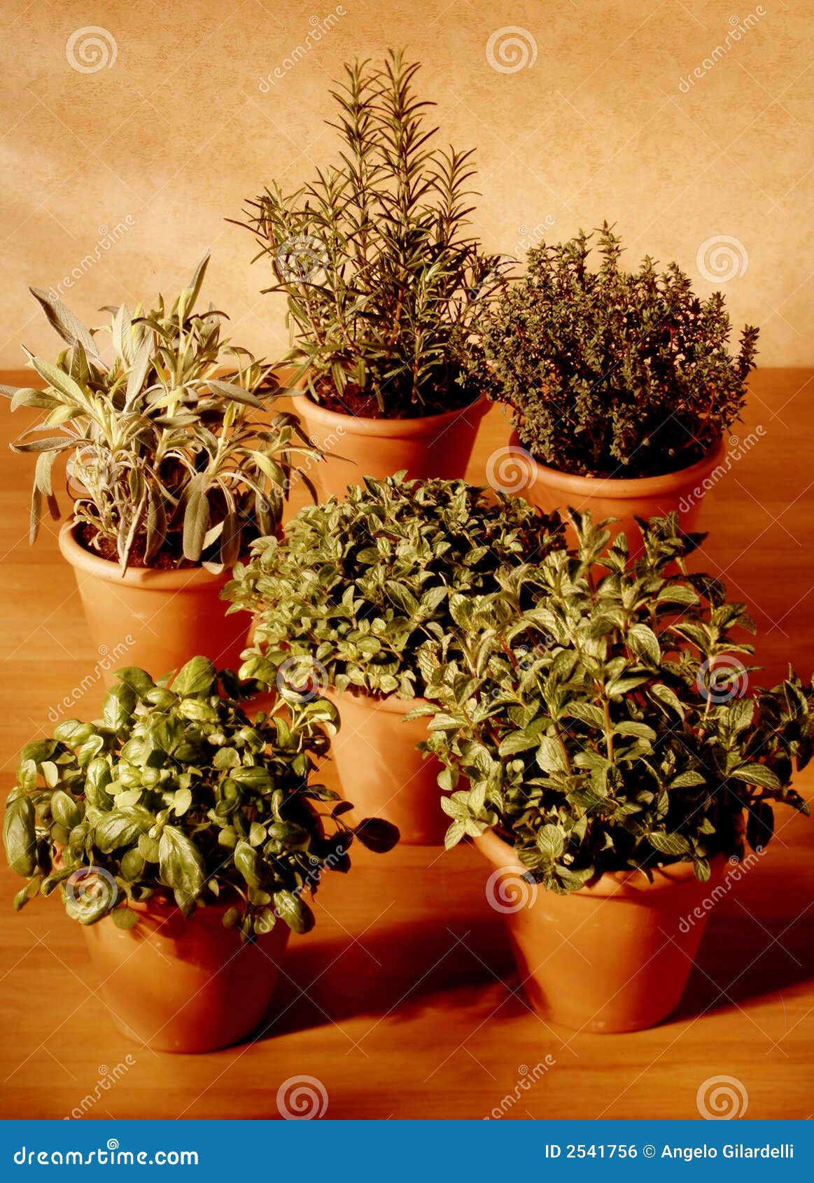 aromatic herbs