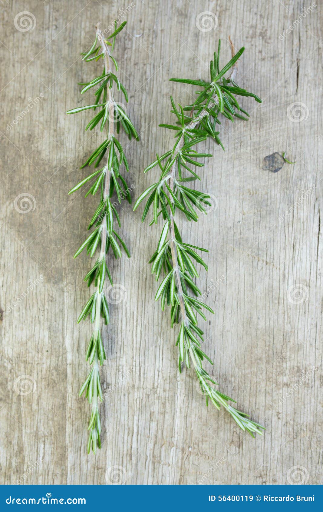 Aromatic herbs on wood stock image. Image of nature, eating 56400119