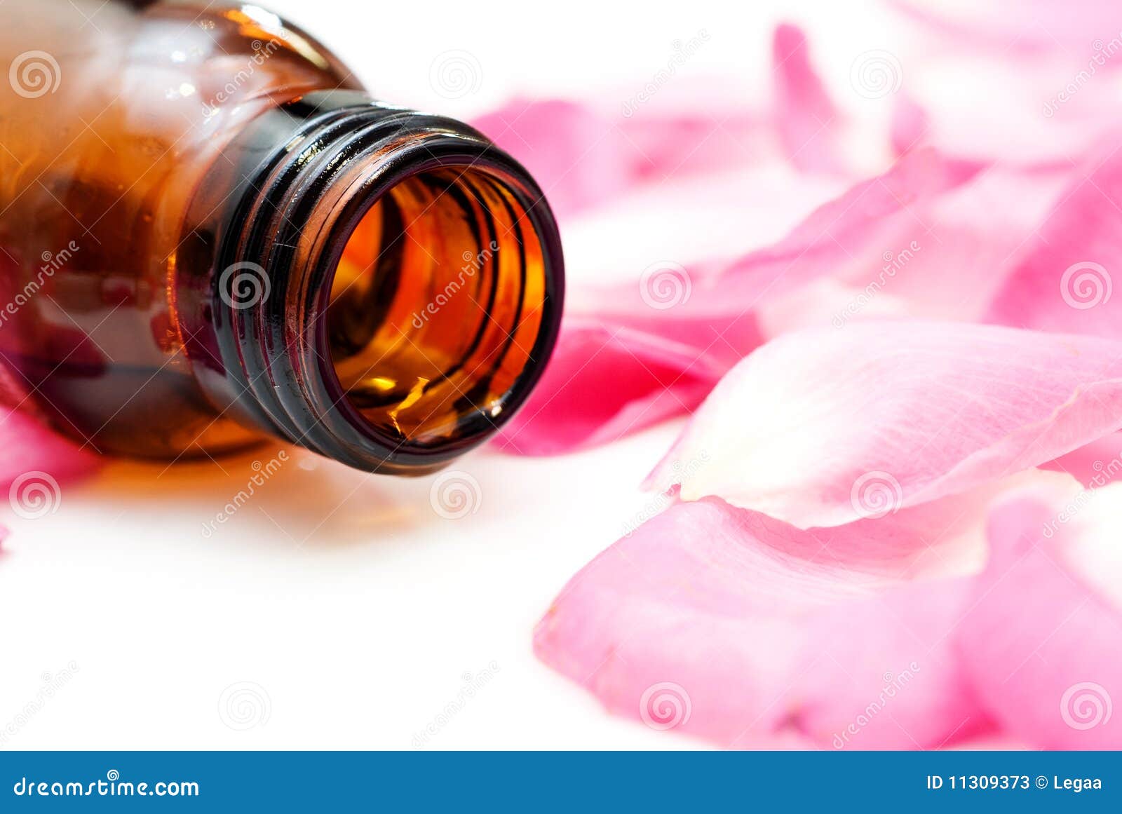 Aromatic Oil from Rose Petals Stock Image Image of close, nature