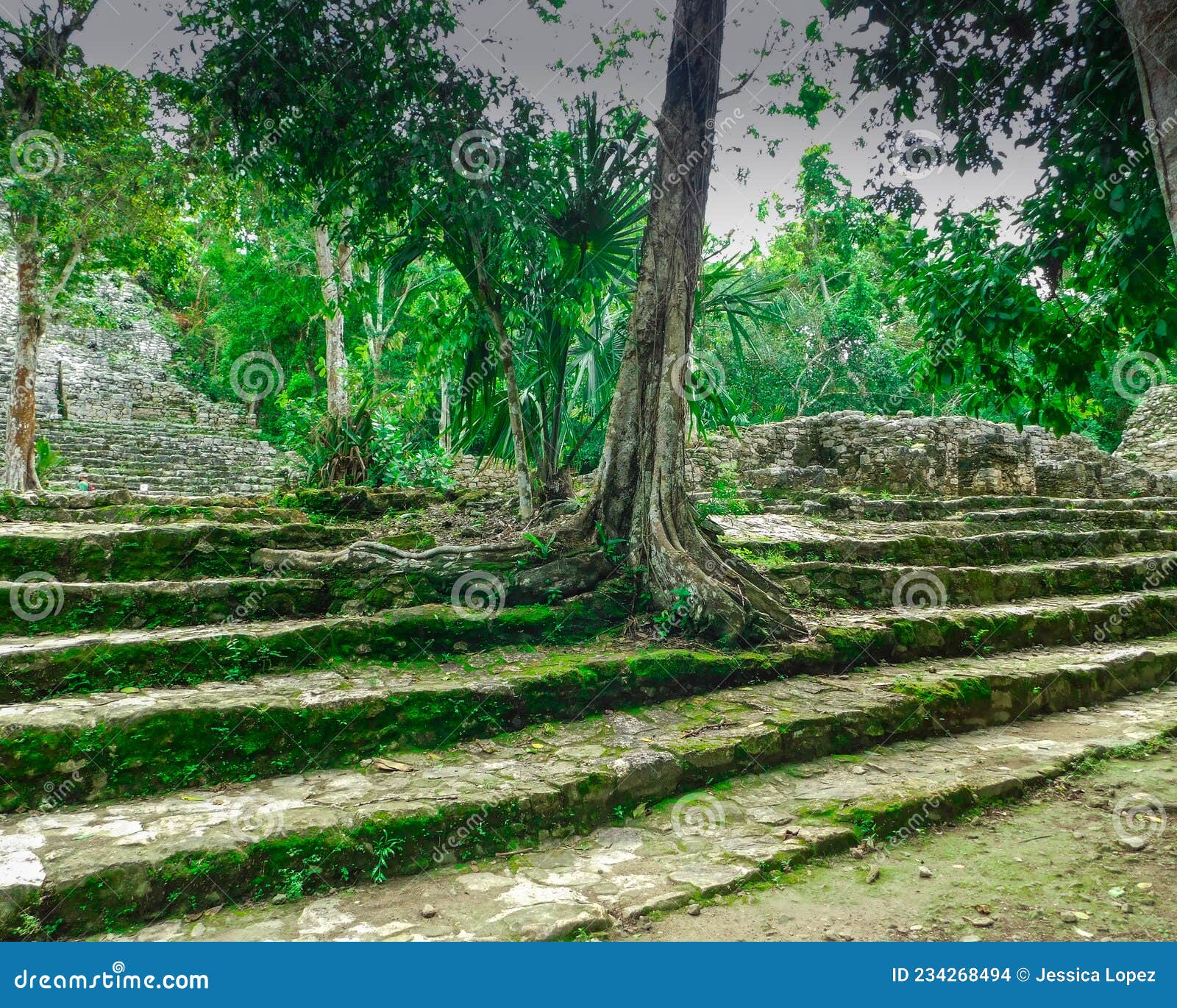 arqueological maya zone of coba