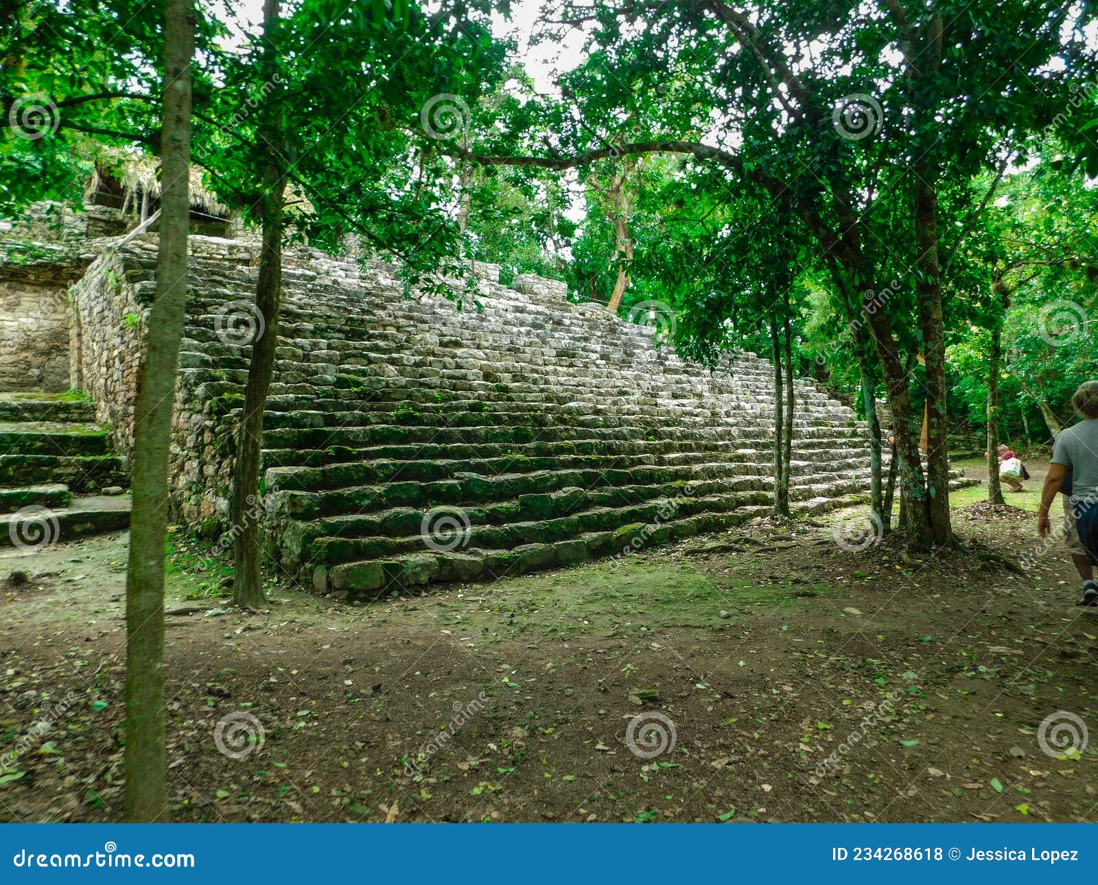 arqueological maya zone of coba