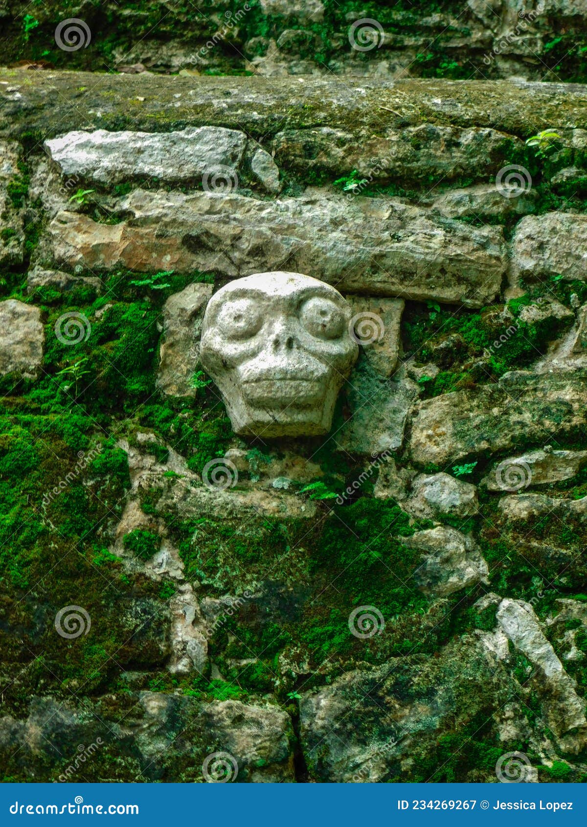 arqueological maya zone of coba