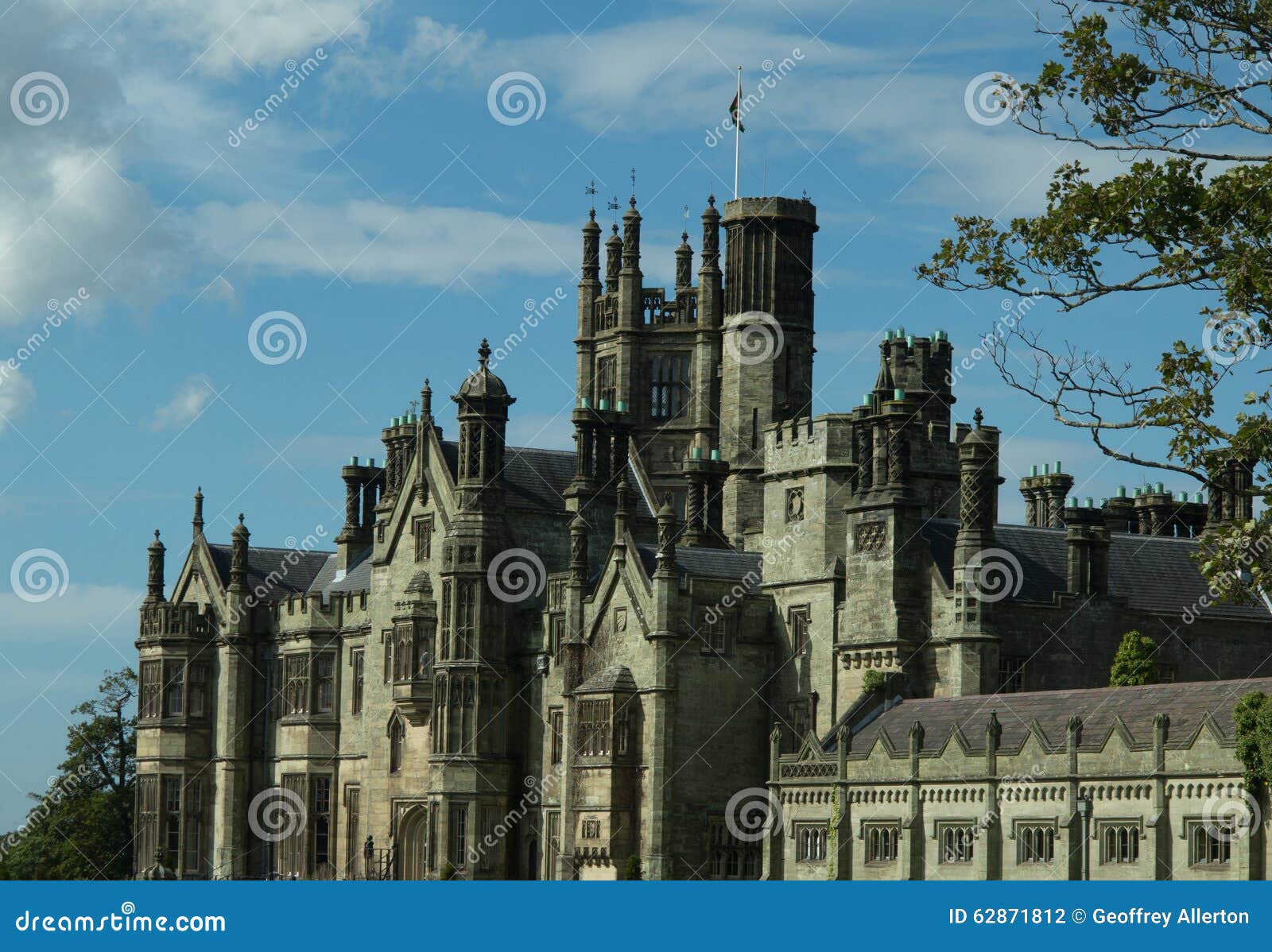Arquitetura Gotico Do Castelo Foto De Stock Imagem De Gotico Castelo 62871812
