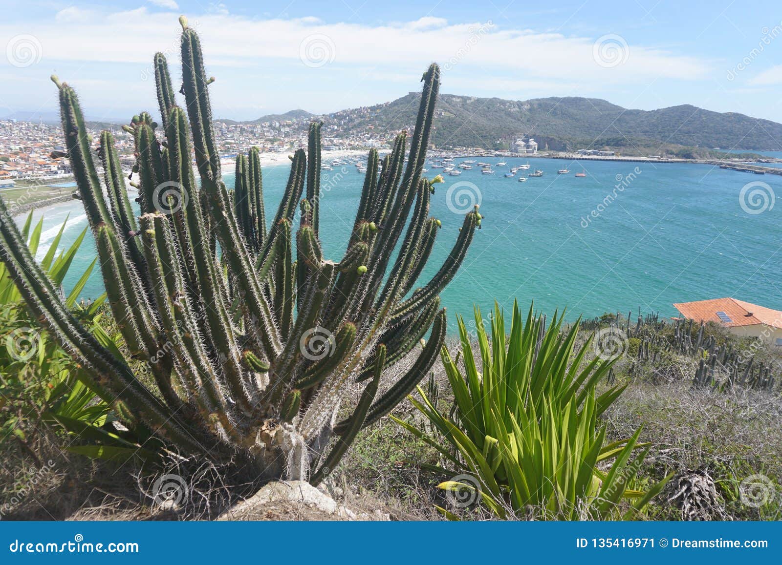 arraial do cabo - brasil