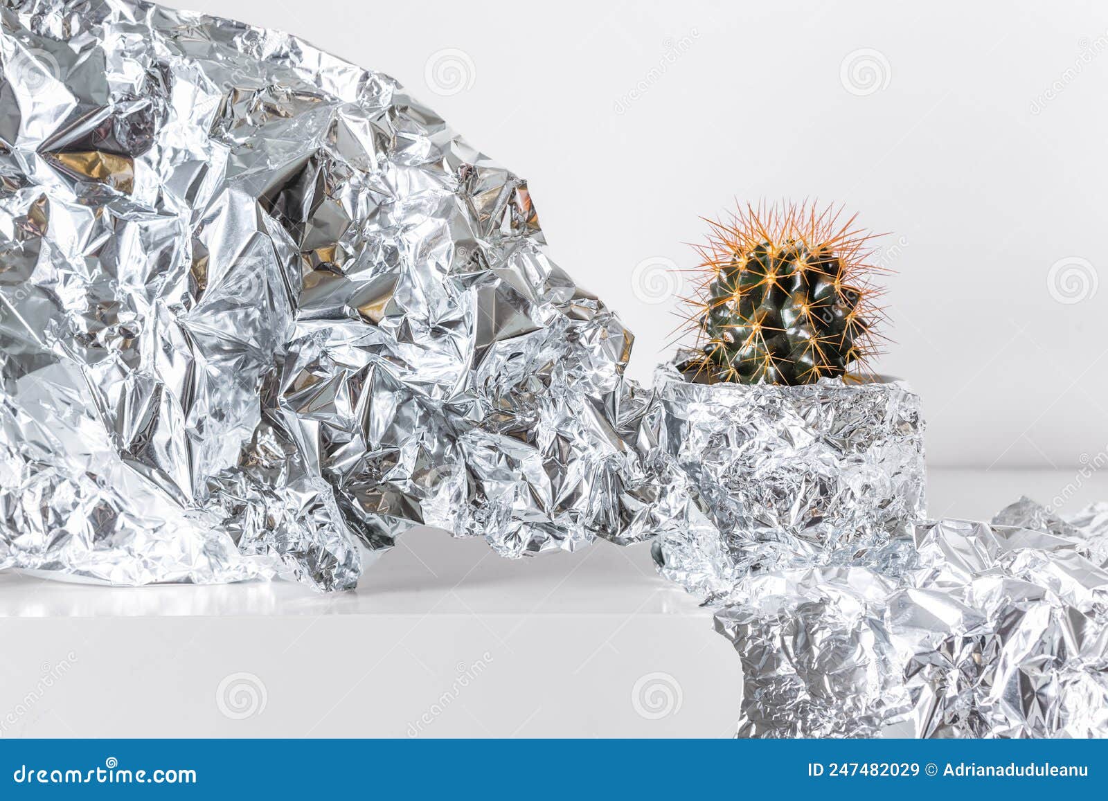 Potted Cactus in Aluminium Foil Stock Image Image of background, abstract 247482029