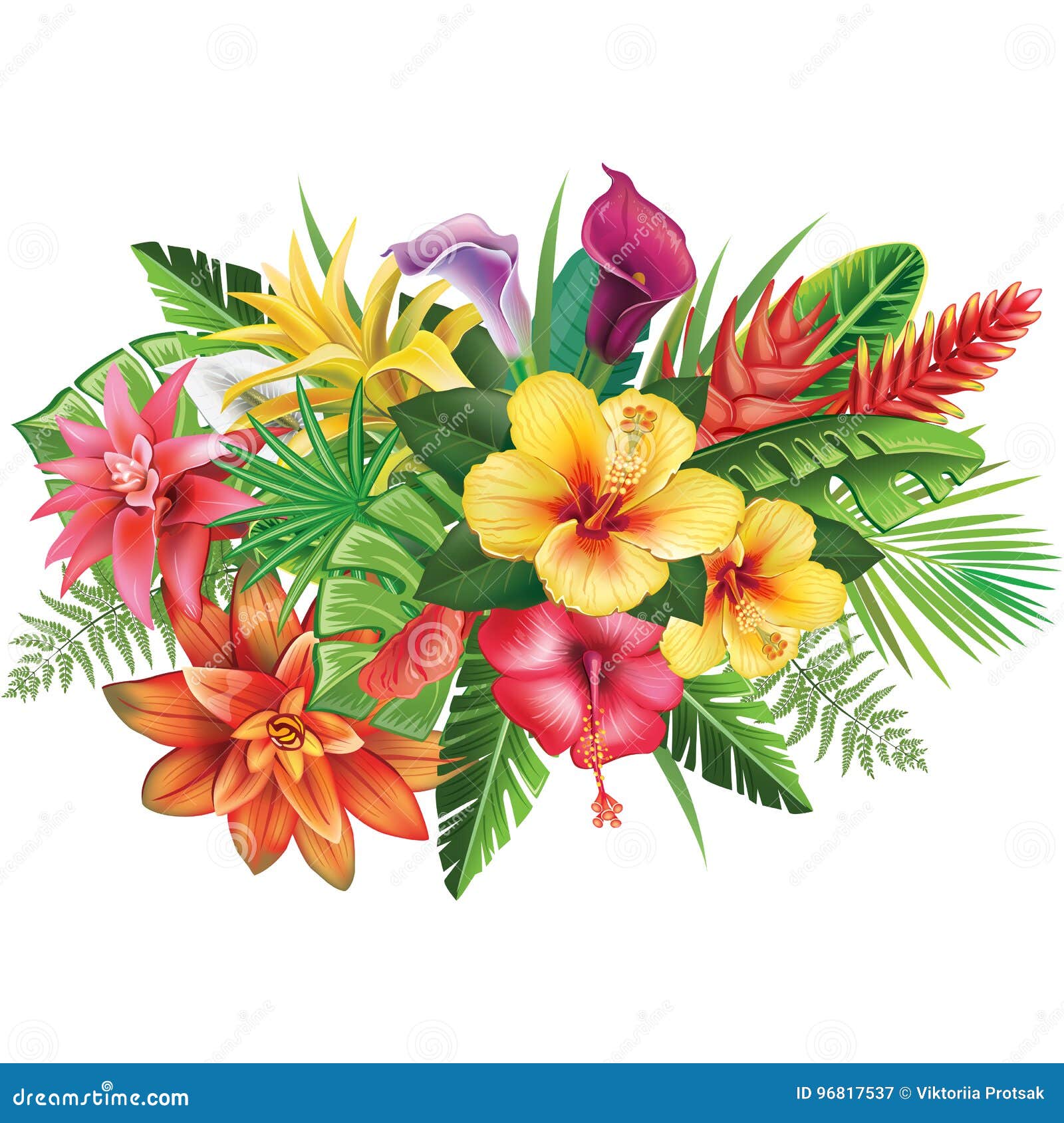 Arrangement from Tropical Flowers Stock Vector - Illustration of hawaii,  tropical: 96817537