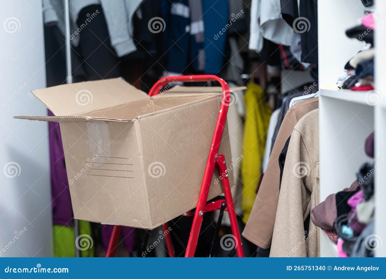 Arranging Clothes at Wardrobe, Moving Stock Photo Image of cloth