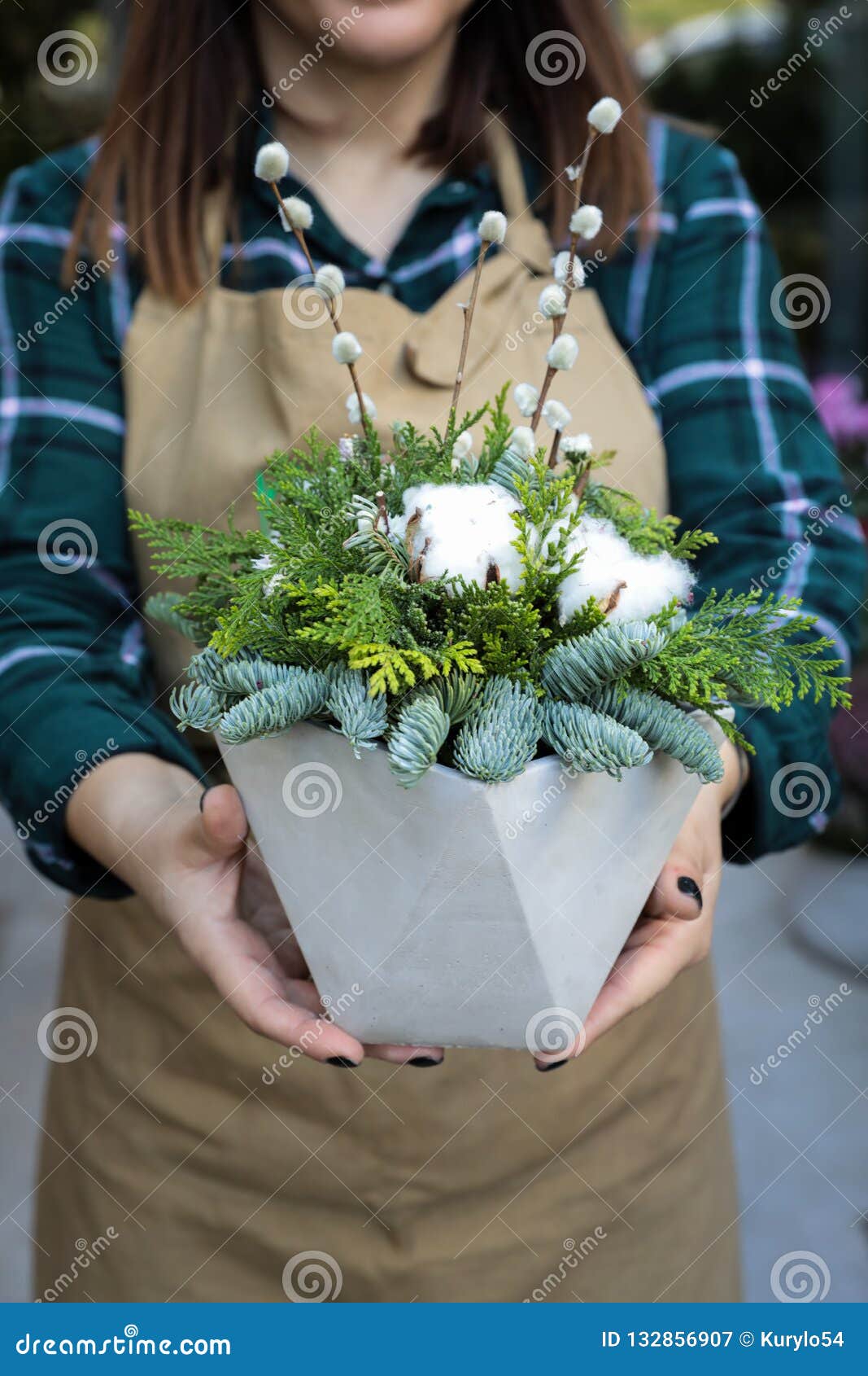 Arranjo Bonito Da Decoração Do Natal Dos Ramos Naturais De Flores Do Abeto  Vermelho, Do Thuja, Do Salgueiro E Do Algodão No Imagem de Stock - Imagem  de feliz, interior: 132856907