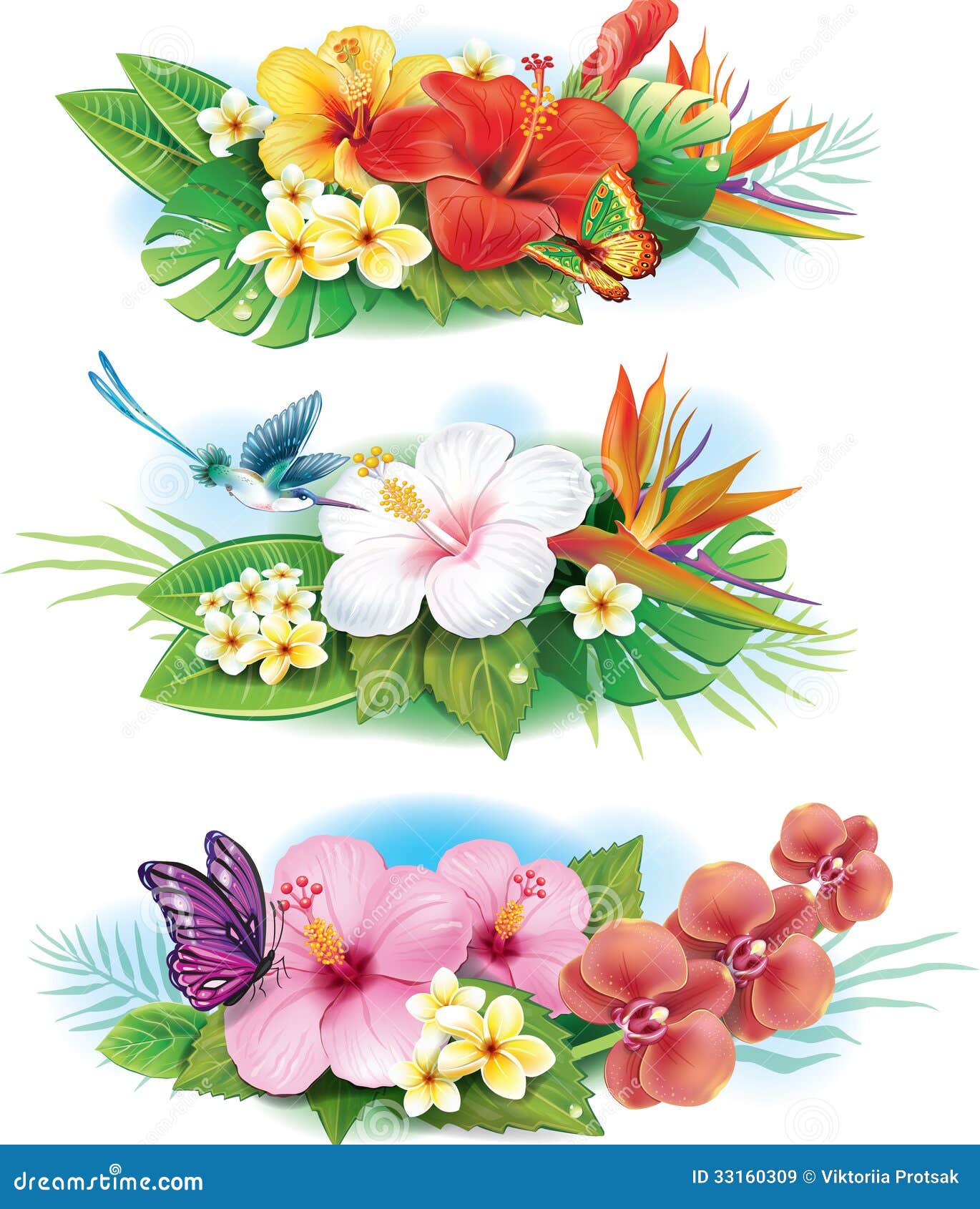 Arranjo Das Flores Tropicais Ilustração do Vetor - Ilustração de orgânico,  botânica: 33160309