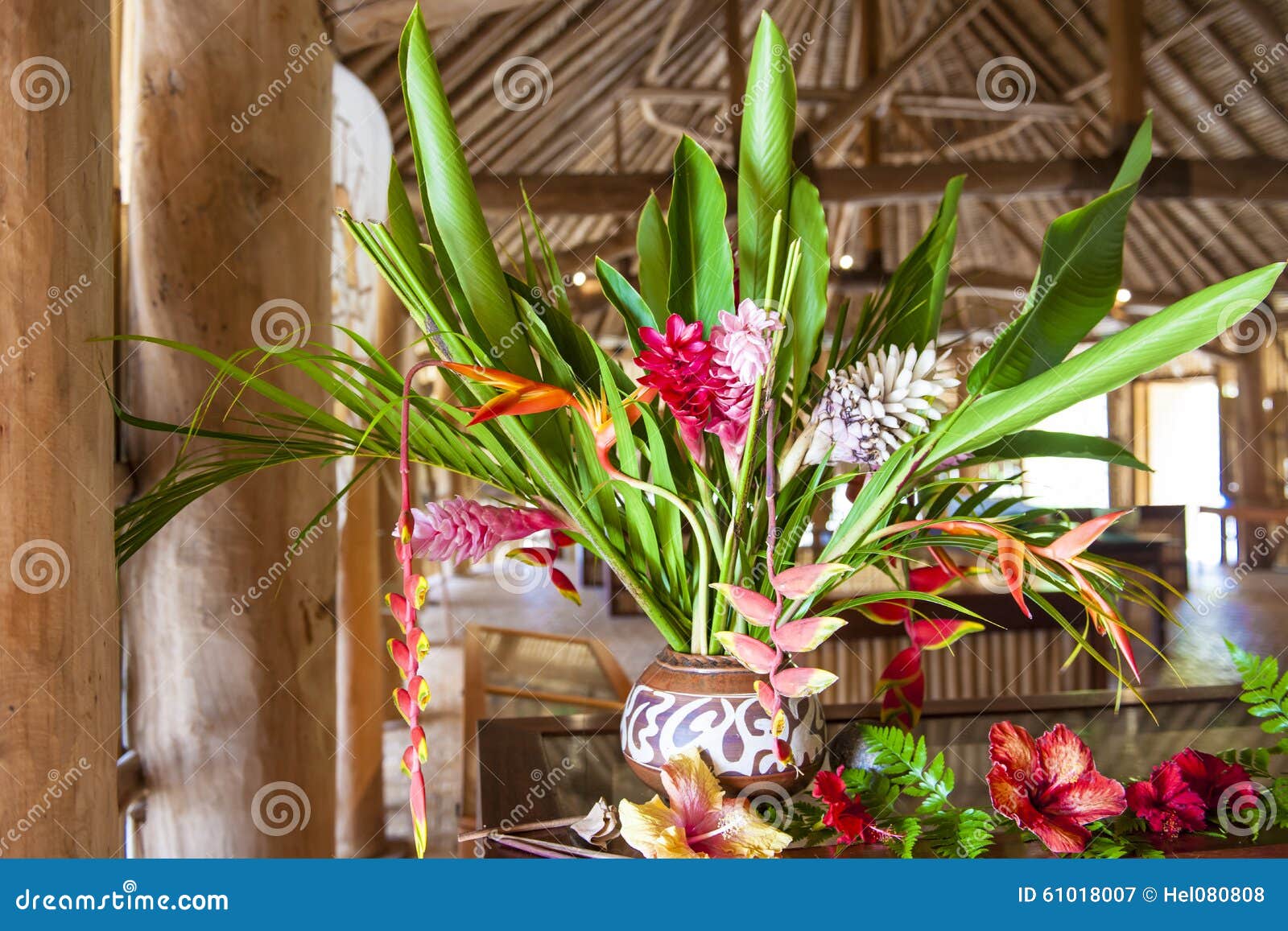 Arranjo De Flores Tropicais Imagem de Stock - Imagem de casa, flores:  61018007, image size:1600x1157