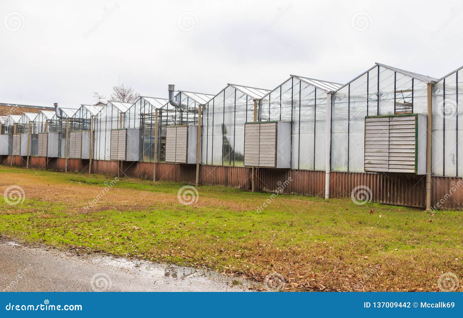 Array of Greenhouses Protecting Plants in the Winter Stock Photo