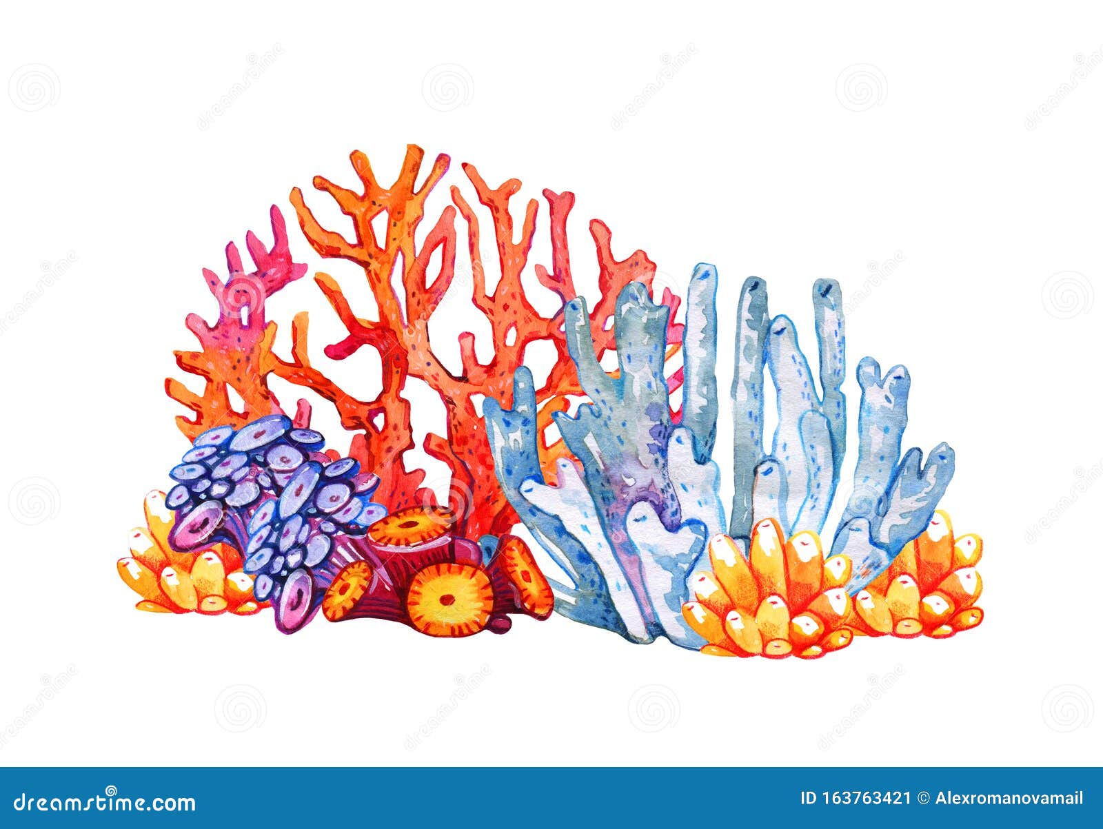 Arrecife De Coral Diferentes Pólipos De Color Dibujo De Acuarela Dibujado a  Mano Stock de ilustración - Ilustración de océano, pedregoso: 163763421