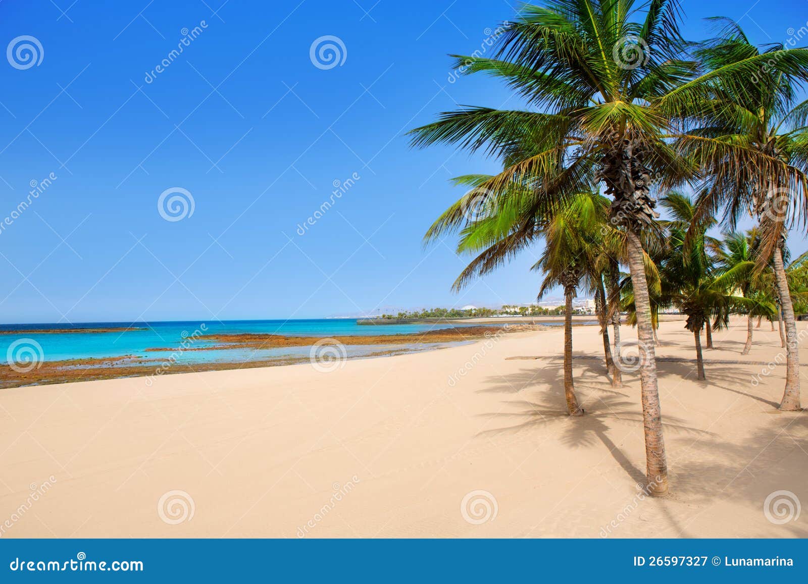 arrecife lanzarote playa reducto beach palm trees