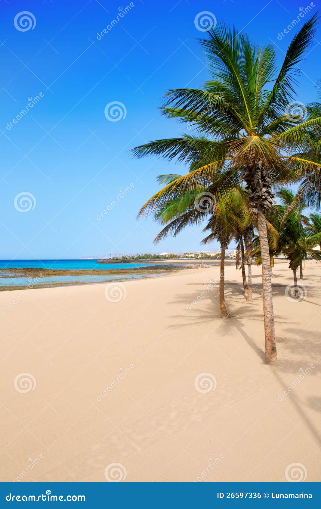arrecife lanzarote playa reducto beach palm trees