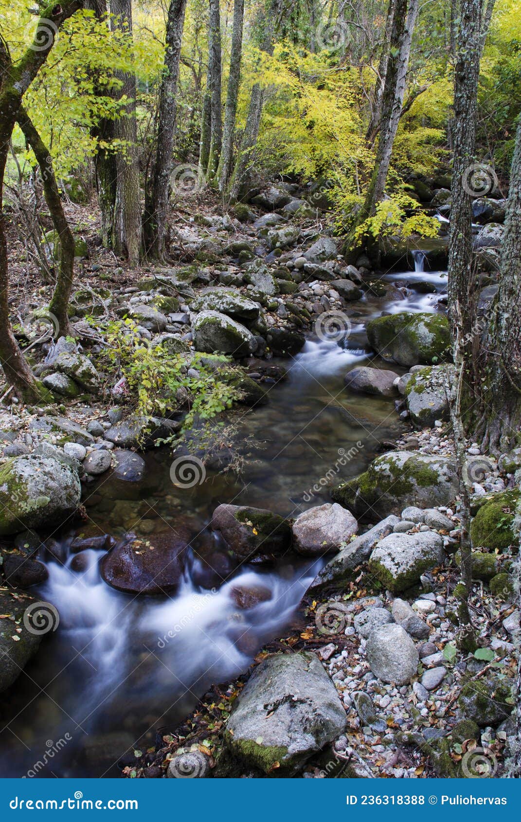 arroyo balozano hervas caceres extremadura in autumn long exposure silky water