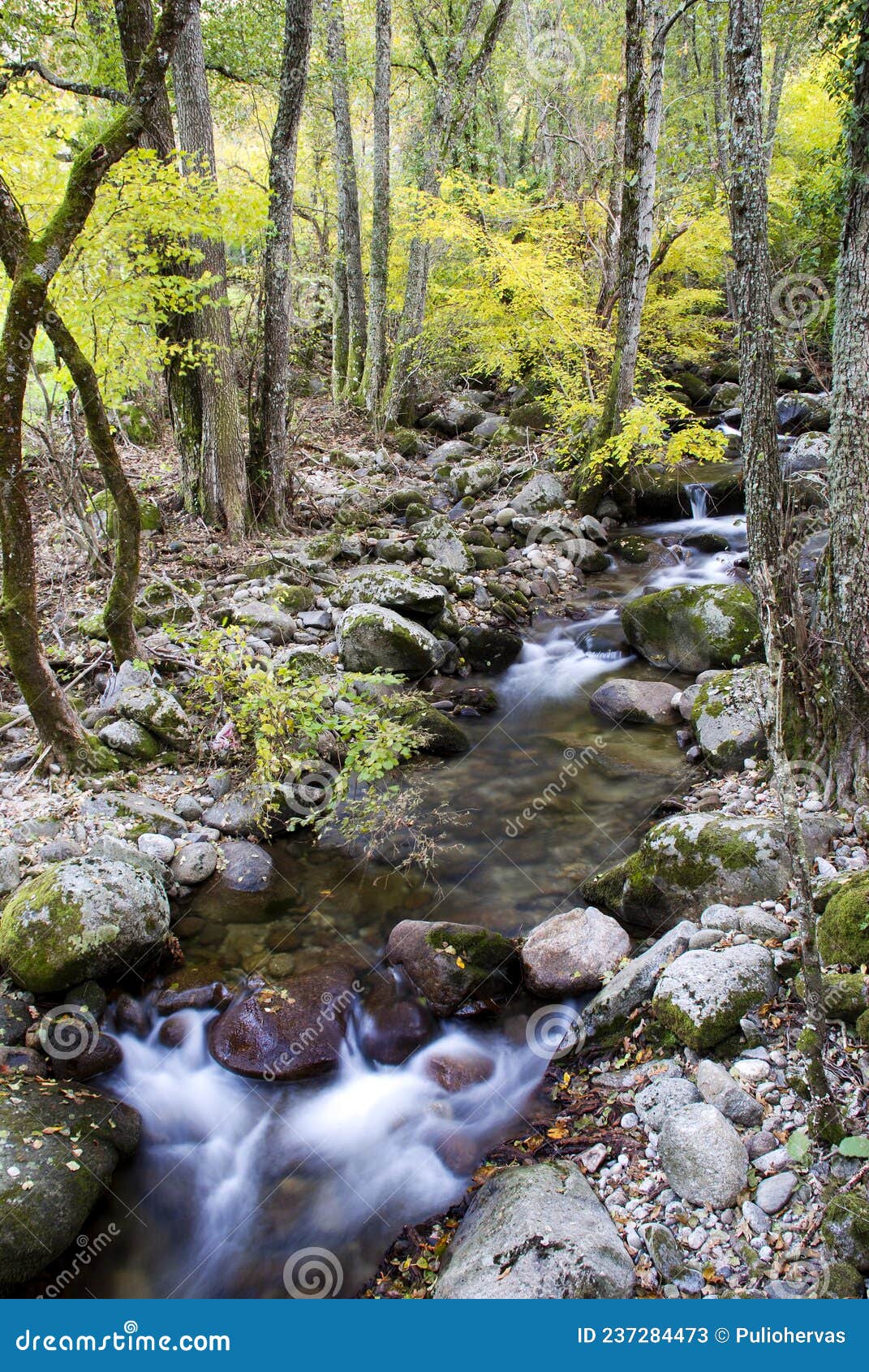 arroyo balozano hervas caceres extremadura in autumn long exposure silky water 3