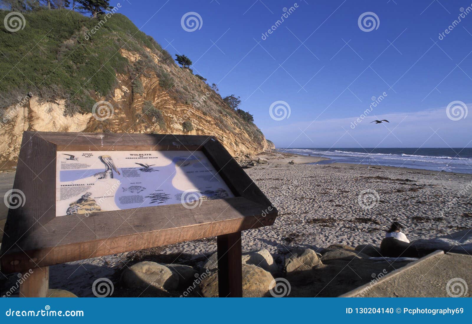 arroyo burro beach, santa barbara, california