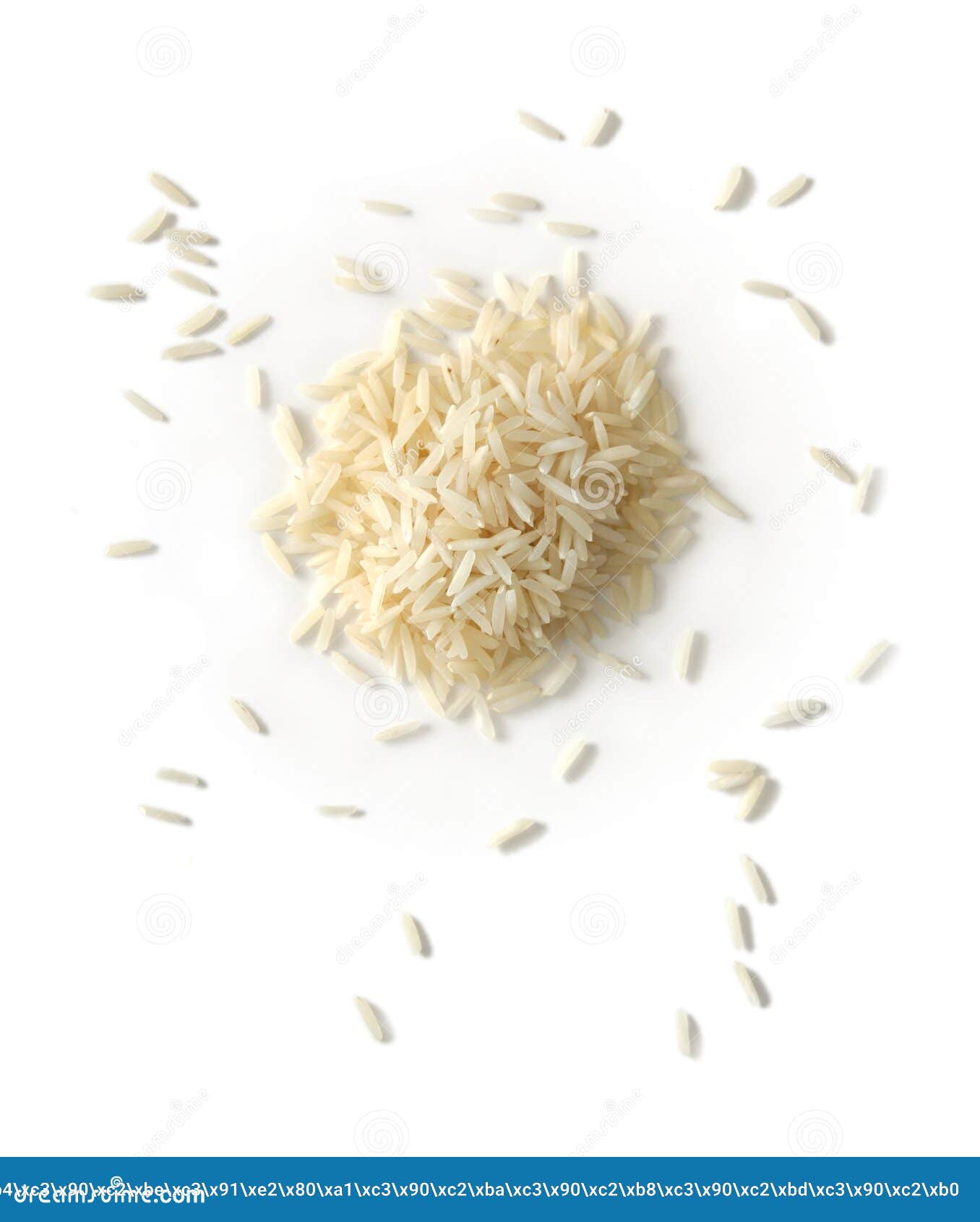 Arroz basmati indiano imagem de stock. Imagem de arroz 3021313