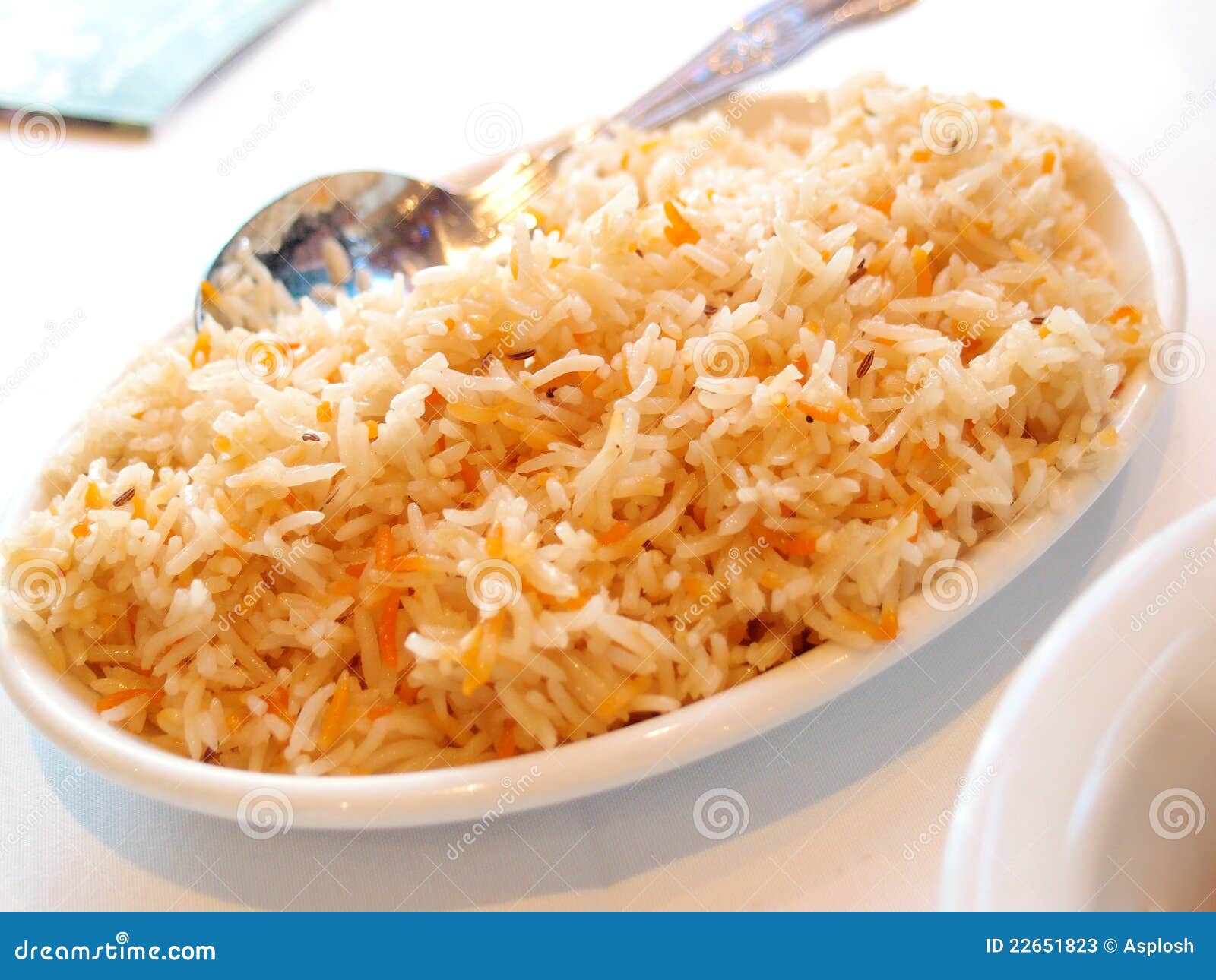 Arroz indiano de Pilau imagem de stock. Imagem de lado 22651823